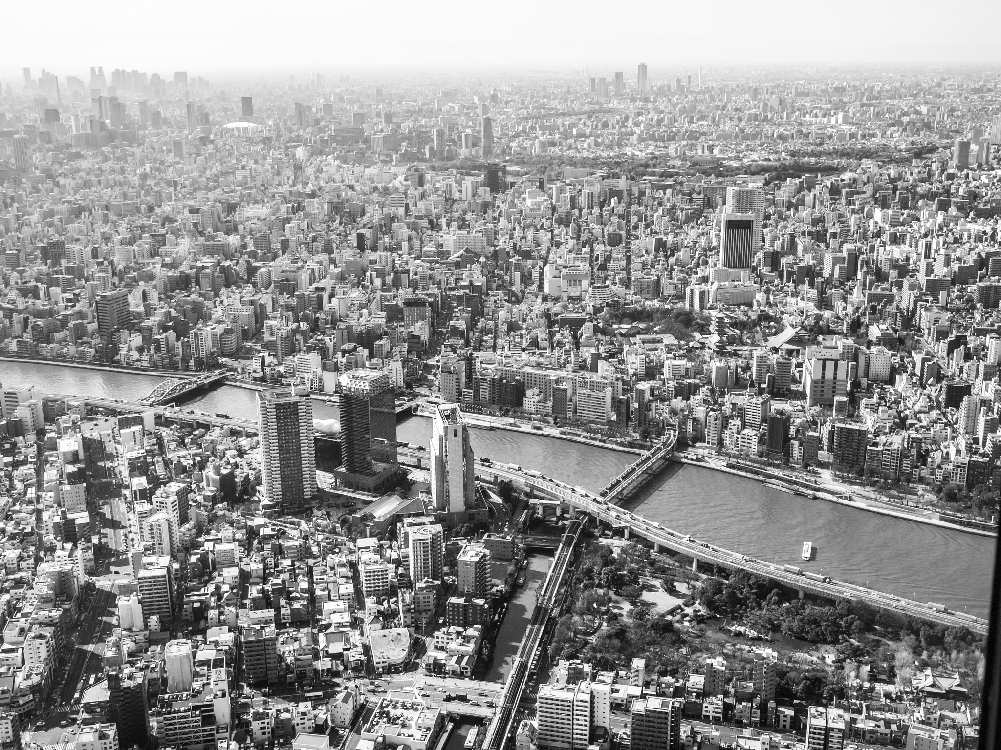 Olympus PEN E-P1 + Panasonic Lumix G 20mm F1.7 ASPH sample photo. Sumida river from the skytree photography
