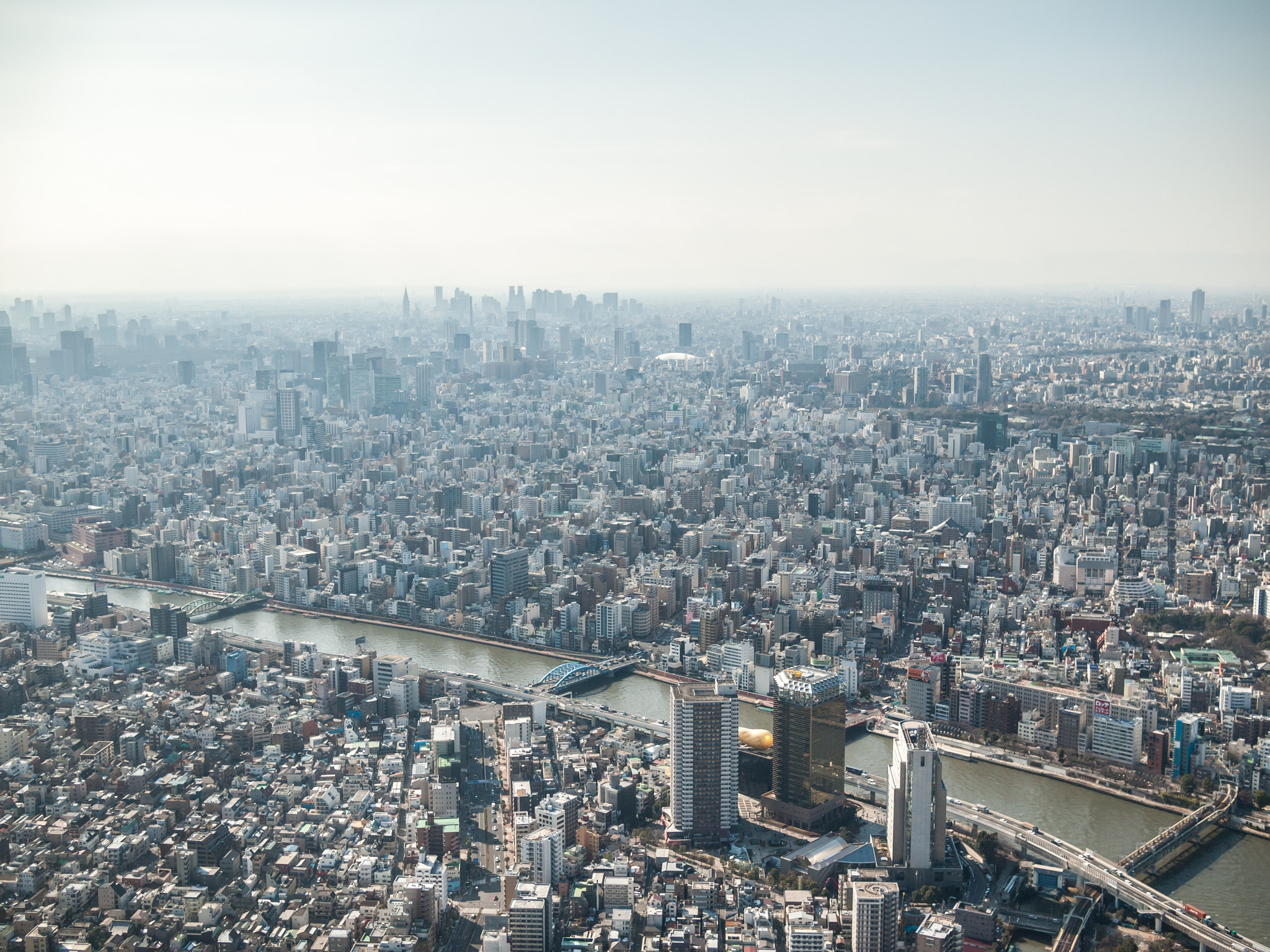 Olympus PEN E-P1 + Panasonic Lumix G 20mm F1.7 ASPH sample photo. Sumida river from the skytree photography