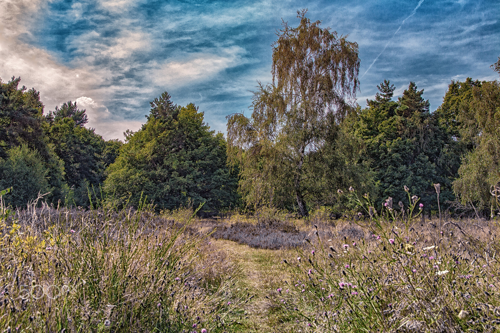 Sigma 17-70mm F2.8-4 DC Macro OS HSM sample photo. Heidelandschaft i photography