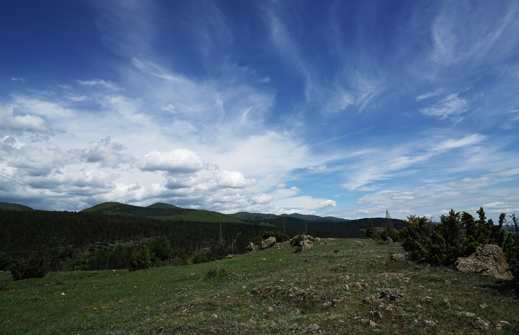 Sony FE 28mm F2 sample photo. Blue photography
