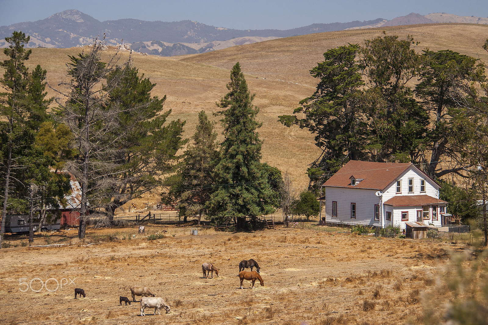 Canon EOS 400D (EOS Digital Rebel XTi / EOS Kiss Digital X) sample photo. Californian countryside landscape photography