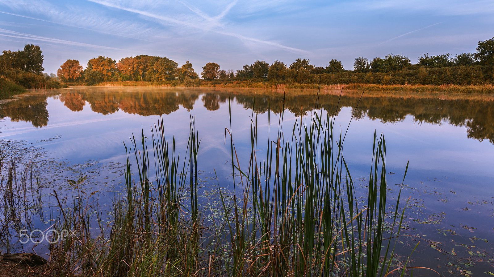 Nikon AF-S Nikkor 14-24mm F2.8G ED sample photo. Autumn is here photography