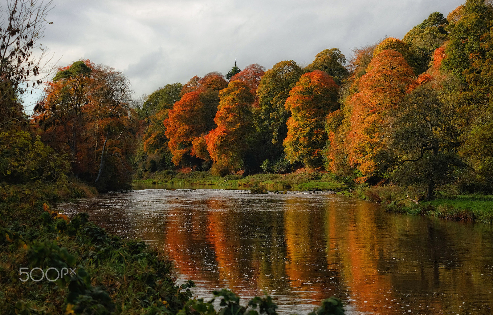 Fujifilm X-M1 + Fujifilm XC 50-230mm F4.5-6.7 OIS sample photo. ...indian summer... photography