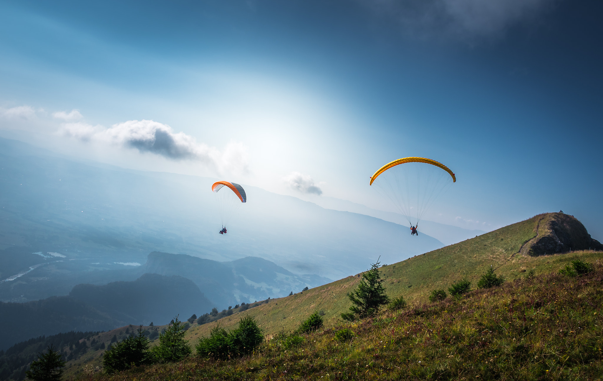 Paragliders