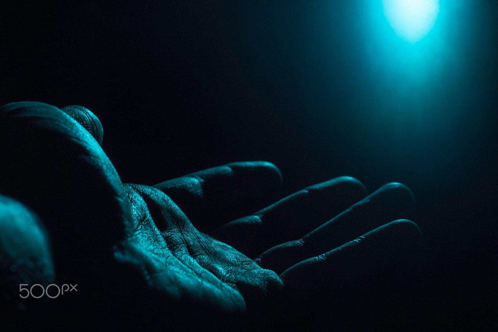 Sony a7S + Sony DT 50mm F1.8 SAM sample photo. The hand photography