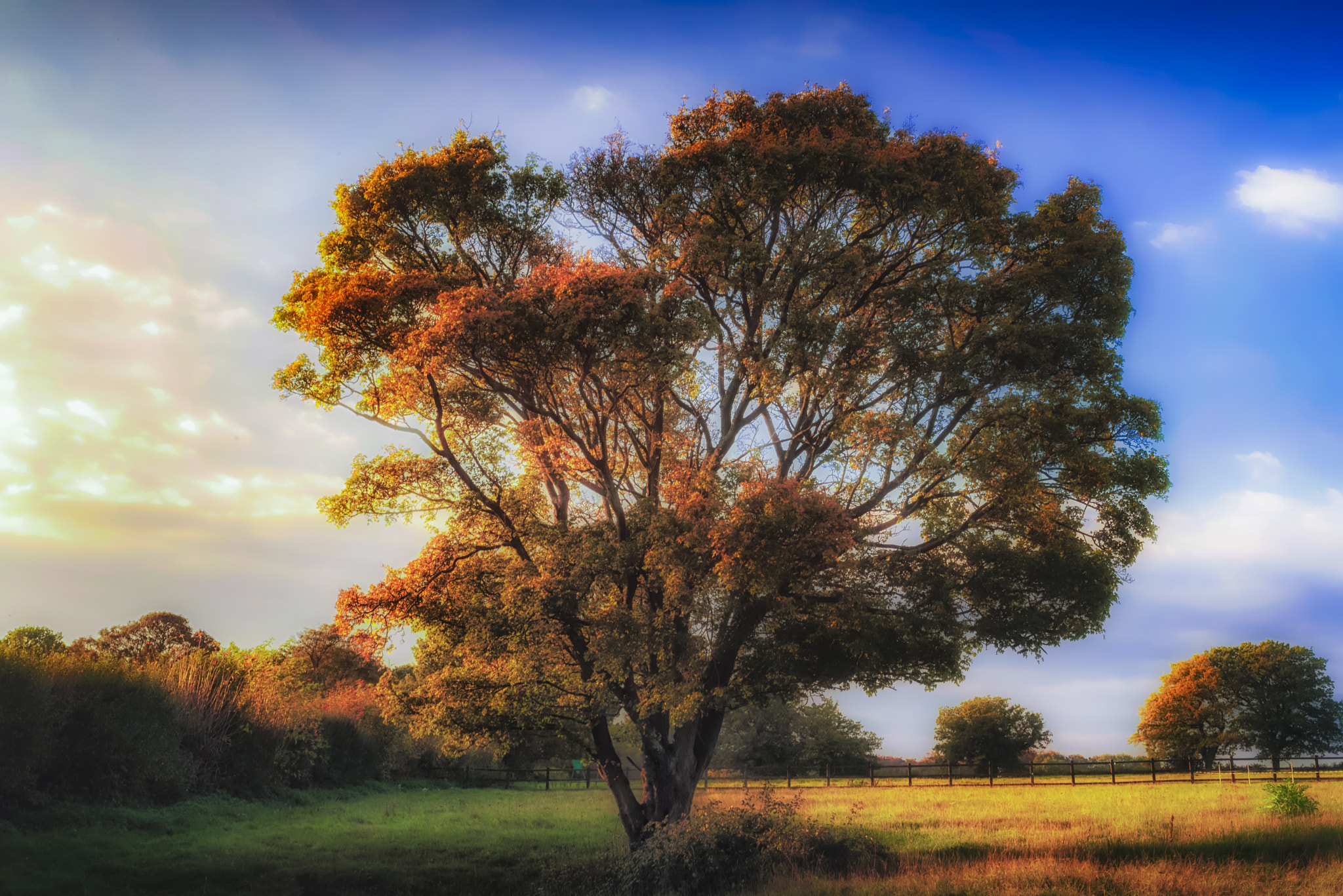 Nikon D600 + Sigma 24-70mm F2.8 EX DG Macro sample photo. Autumn wear photography