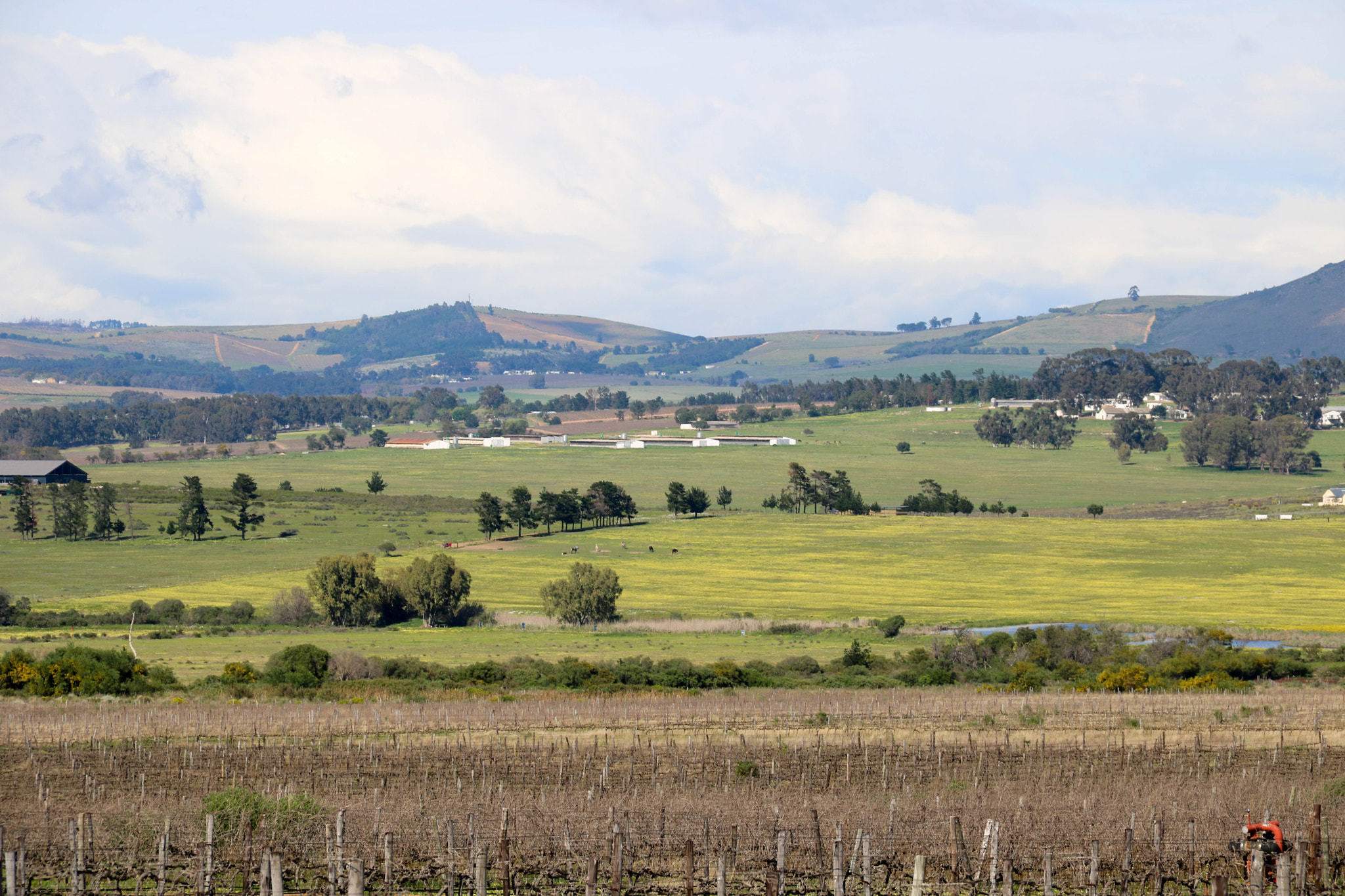 Canon EOS 750D (EOS Rebel T6i / EOS Kiss X8i) sample photo. Spring in paarl photography