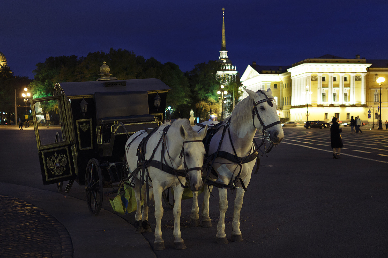 Canon EOS 650D (EOS Rebel T4i / EOS Kiss X6i) + Sigma 35mm F1.4 DG HSM Art sample photo. Saint-petersburg at night photography