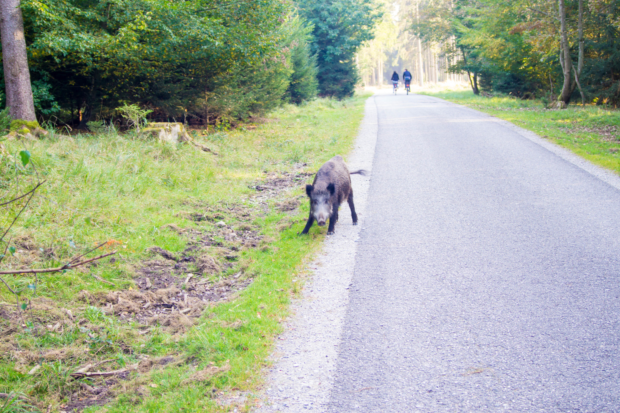 Minolta AF 35-105mm F3.5-4.5 sample photo. Gestern war ich noch feind photography