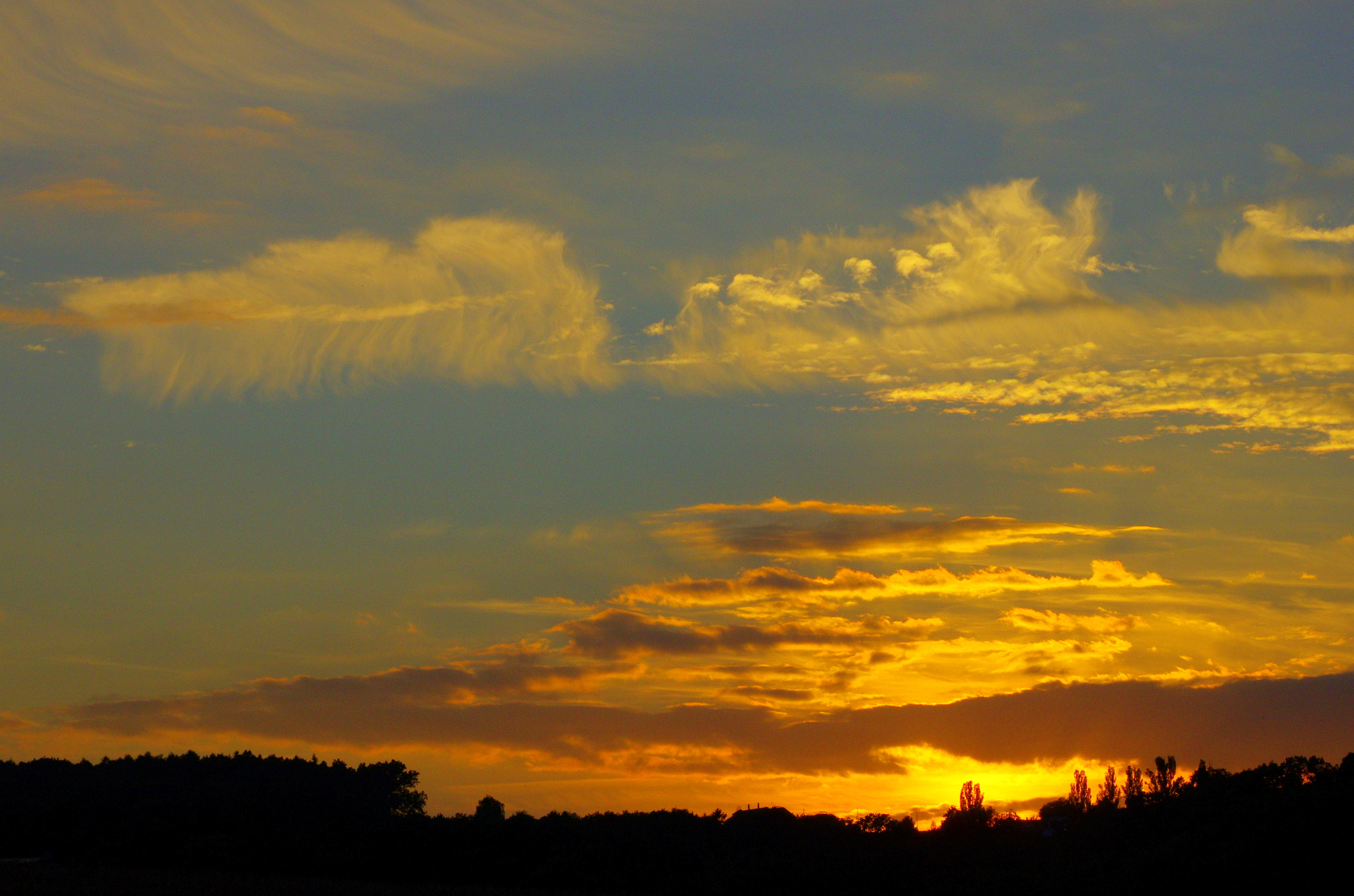 smc PENTAX-DA L 55-300mm F4-5.8 ED sample photo. Like a feather in the evening light photography