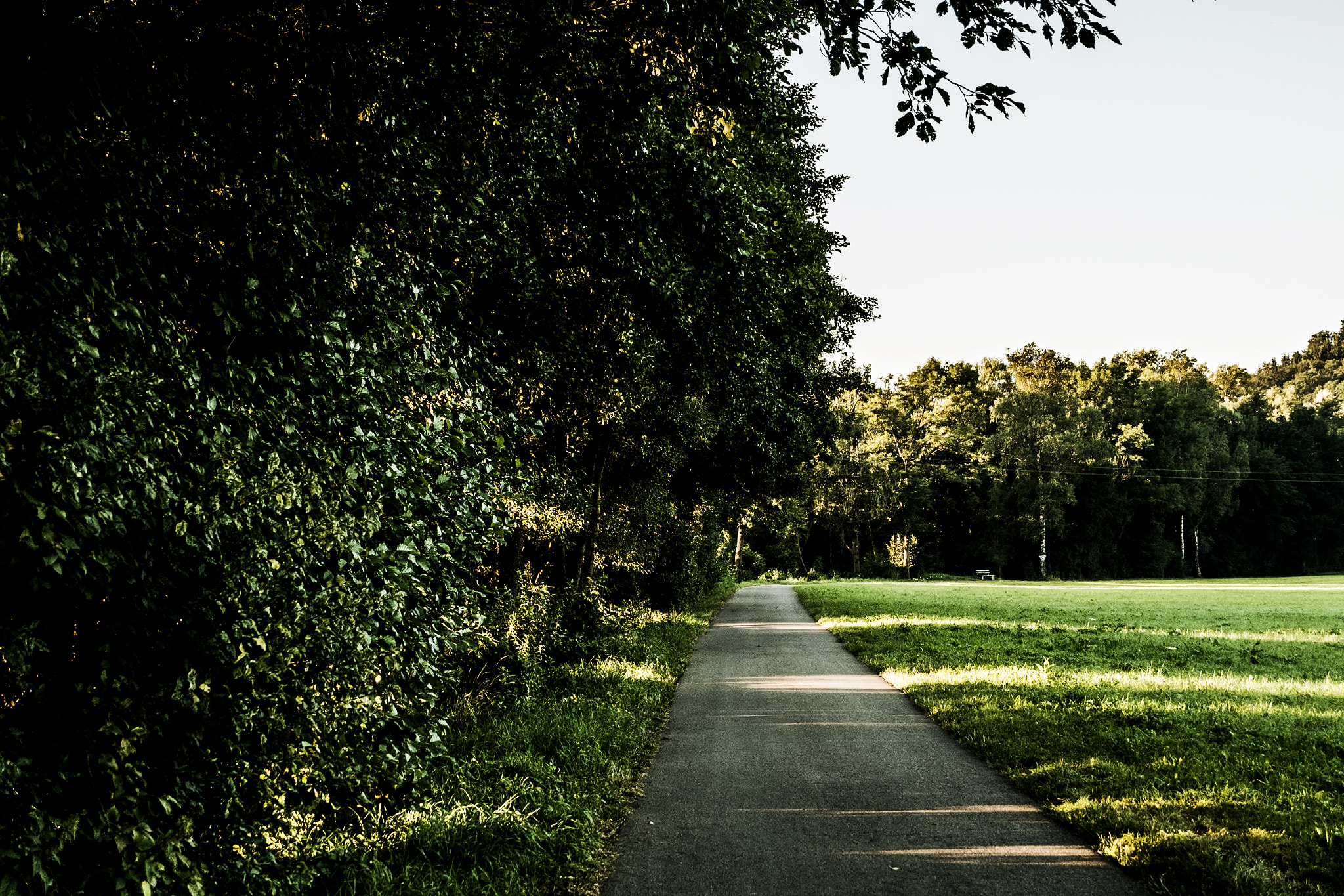 Fujifilm XC 16-50mm F3.5-5.6 OIS sample photo. Der weg ist nicht das ziel  photography
