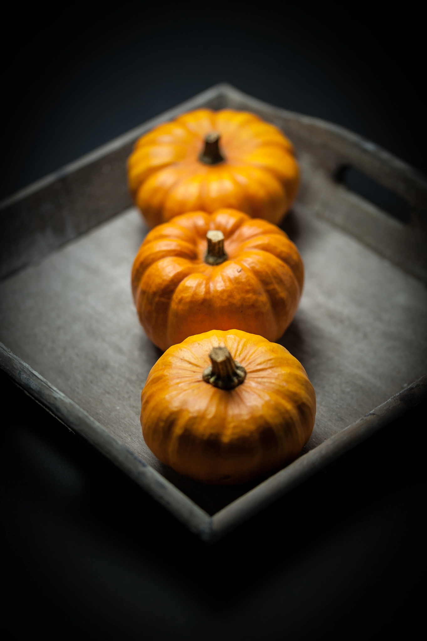Sigma 105mm F2.8 EX DG OS HSM sample photo. Mini jack photography