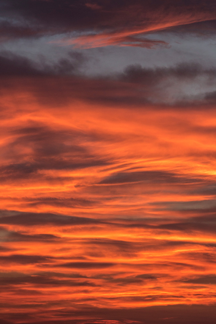 Canon EOS 70D + Sigma 105mm F2.8 EX DG Macro sample photo. Nuages photography