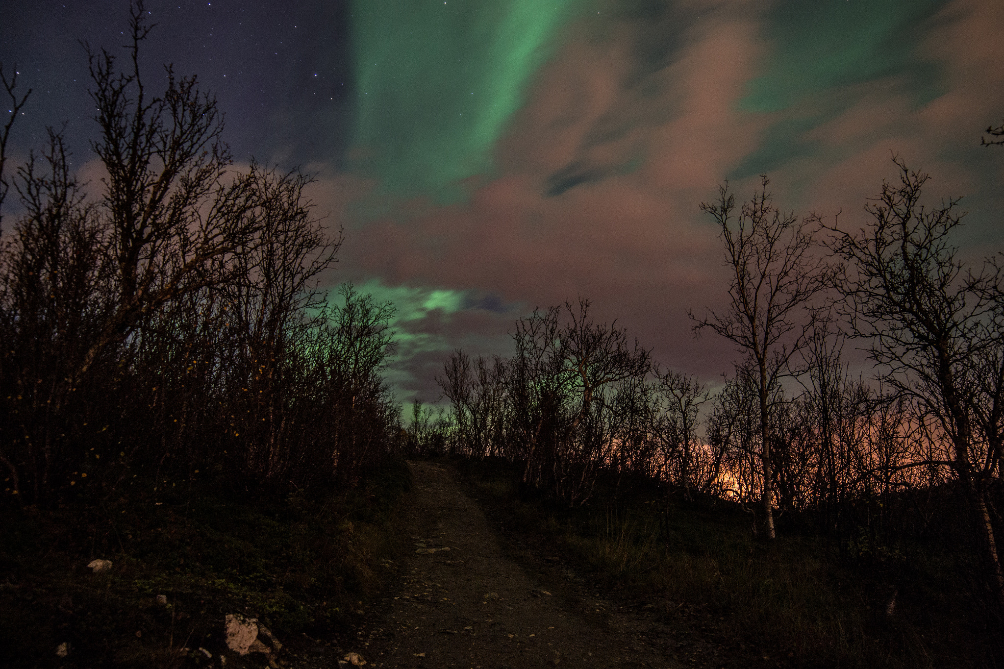 Samyang 14mm F2.8 ED AS IF UMC sample photo. Aurora trail photography