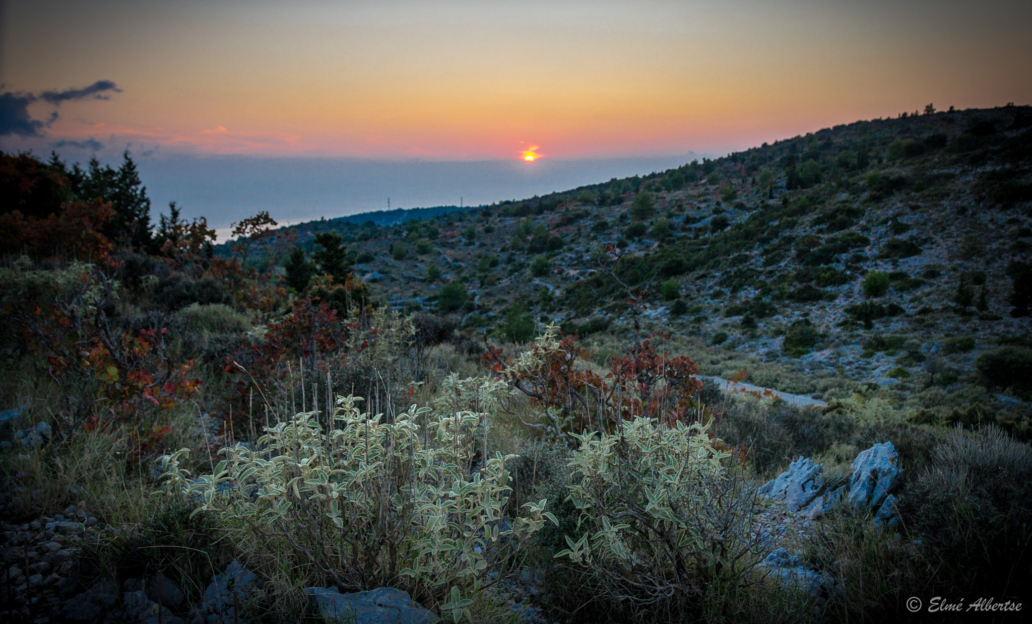 Sony Alpha DSLR-A500 + 17-50mm F2.8 sample photo. Dirt road near appollinii photography