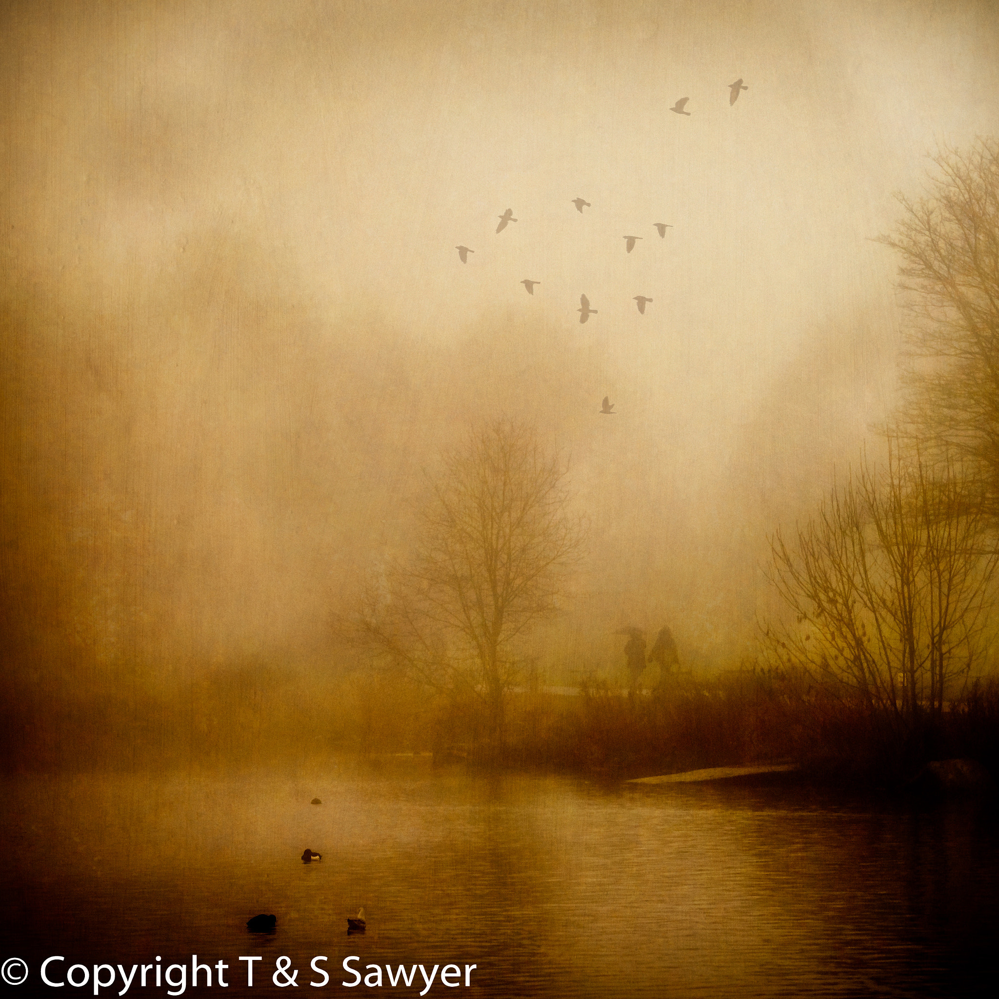 Nikon 1 Nikkor VR 30-110mm F3.8-5.6 sample photo. Into the mist photography