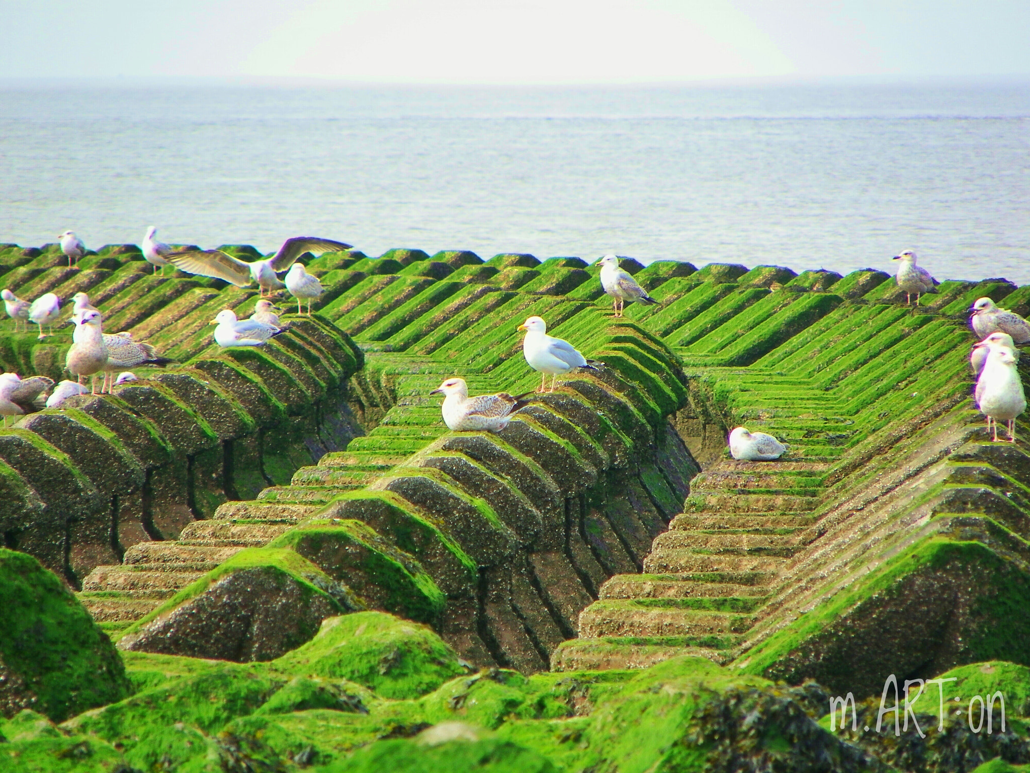 Pentax X90 sample photo