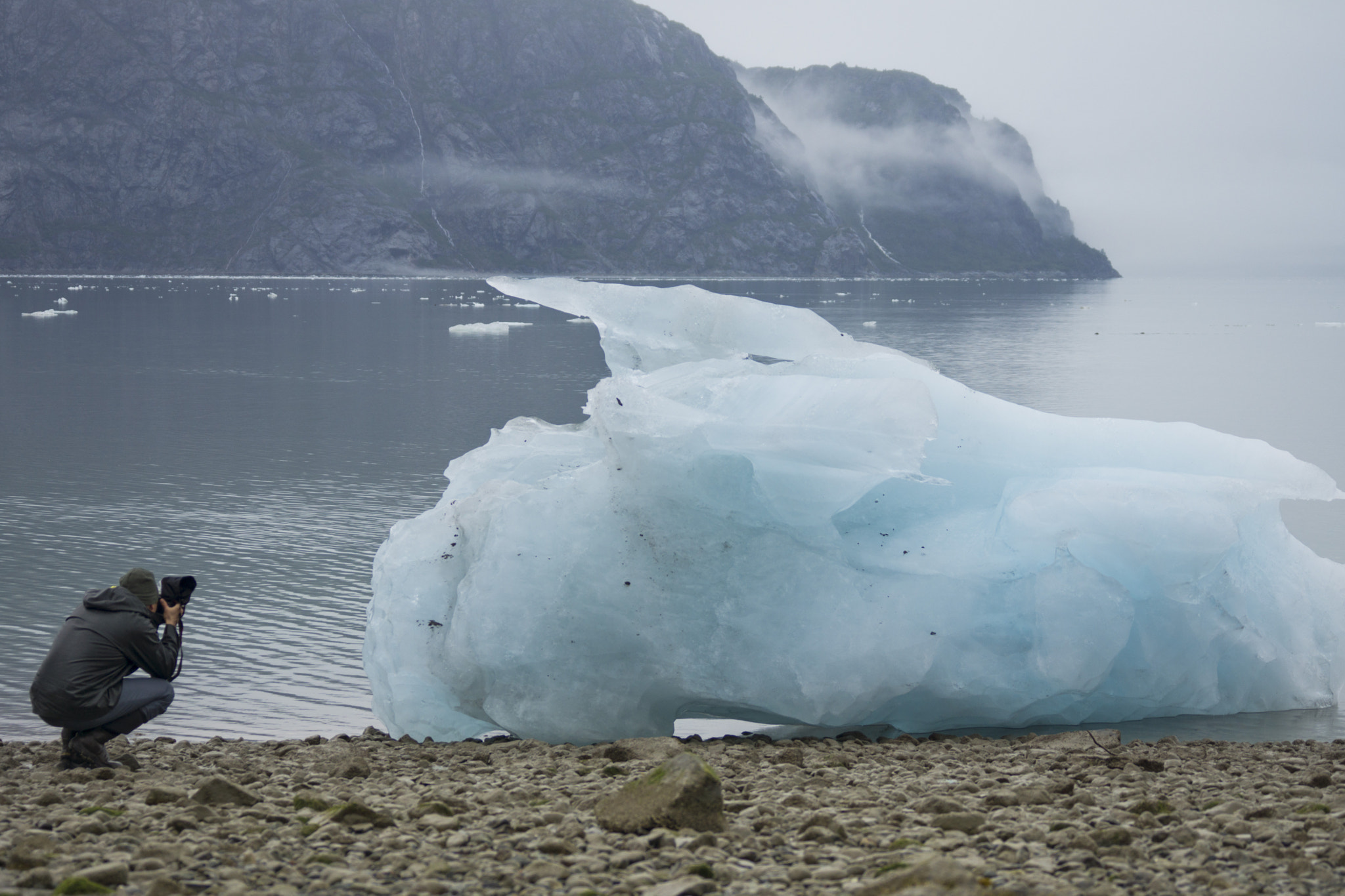 Sony 70-300mm F4.5-5.6 G SSM sample photo. "icy friend" photography