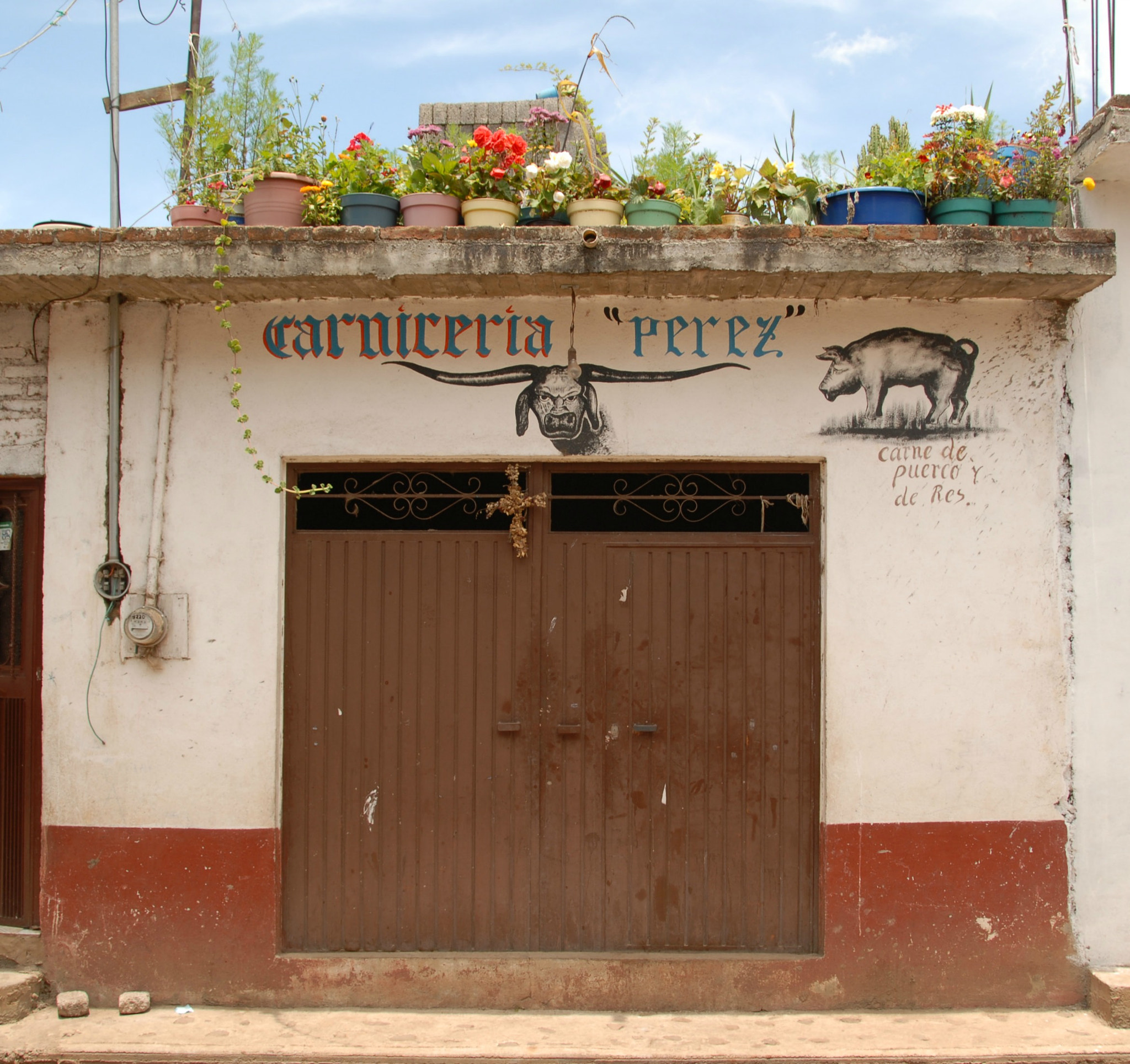 Nikon D200 sample photo. Butcher shop michoacan mexico photography