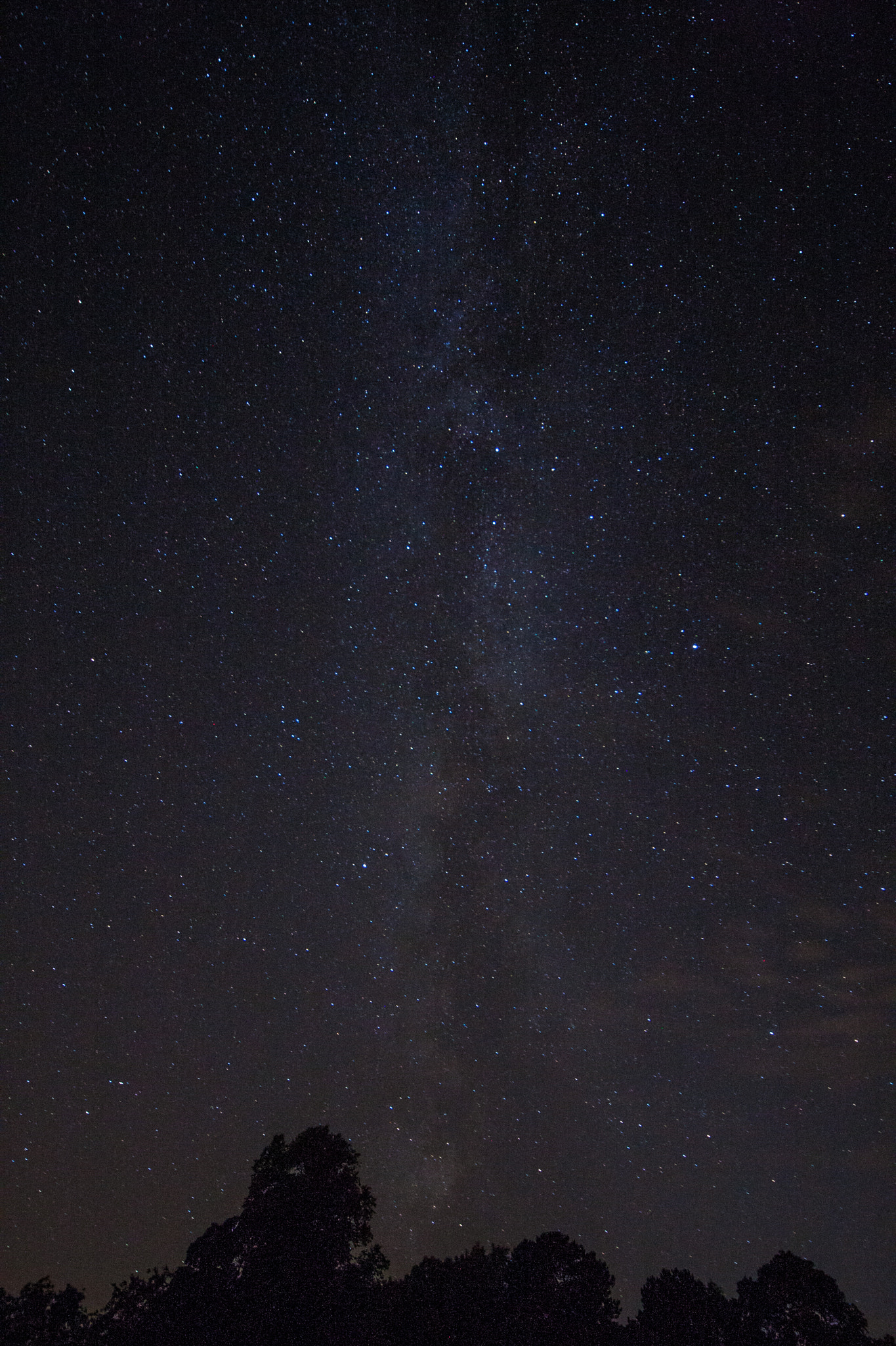 Canon EOS-1D Mark III sample photo. Milkyway photography