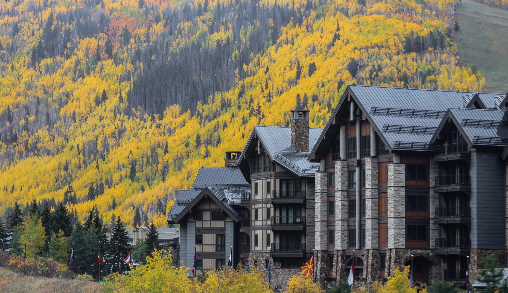 Canon EF 75-300mm f/4-5.6 USM sample photo. Vibrant autumn colors in the mountains, vail, co. photography