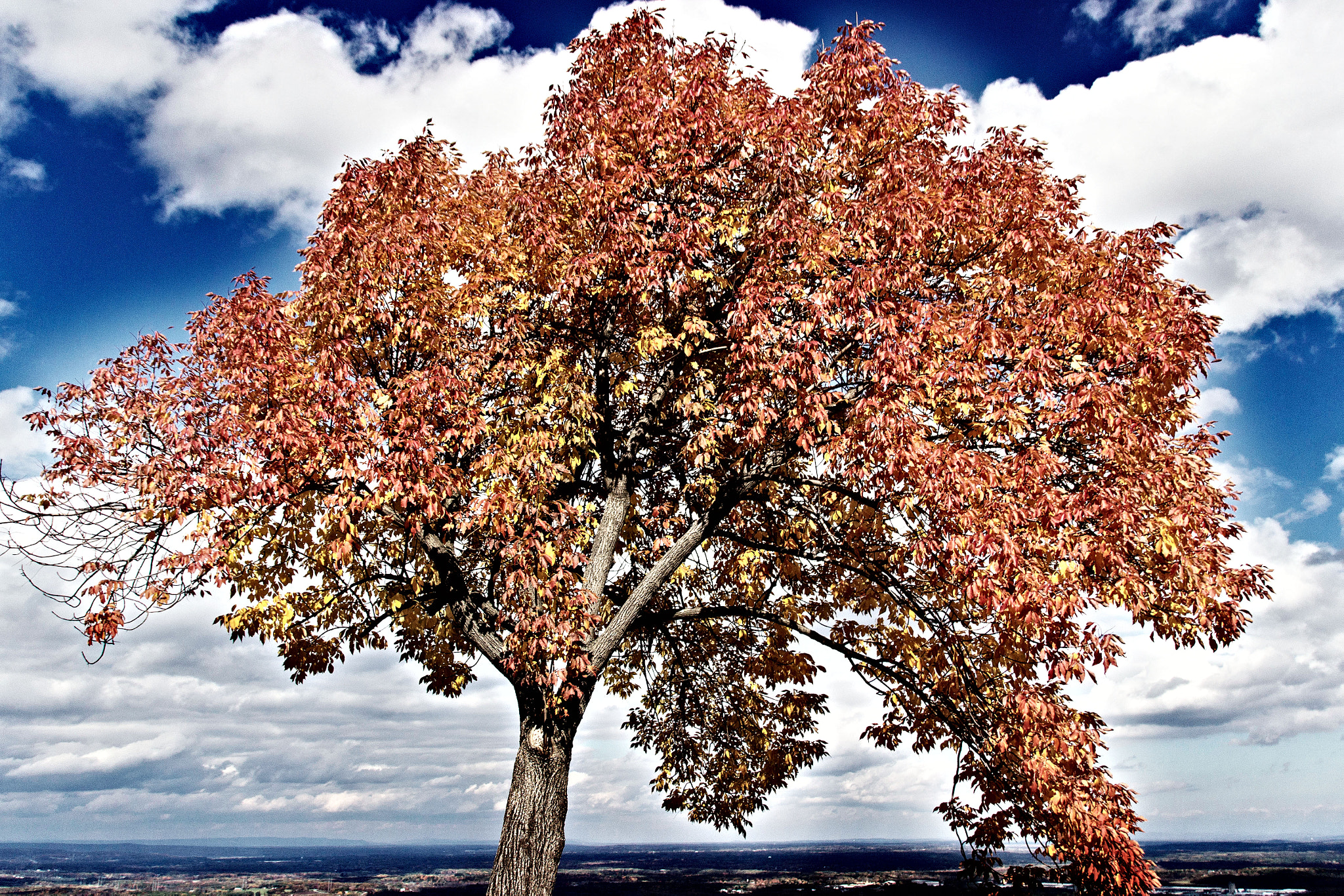 Sigma 18-250mm F3.5-6.3 DC OS HSM sample photo. Fall foliage photography