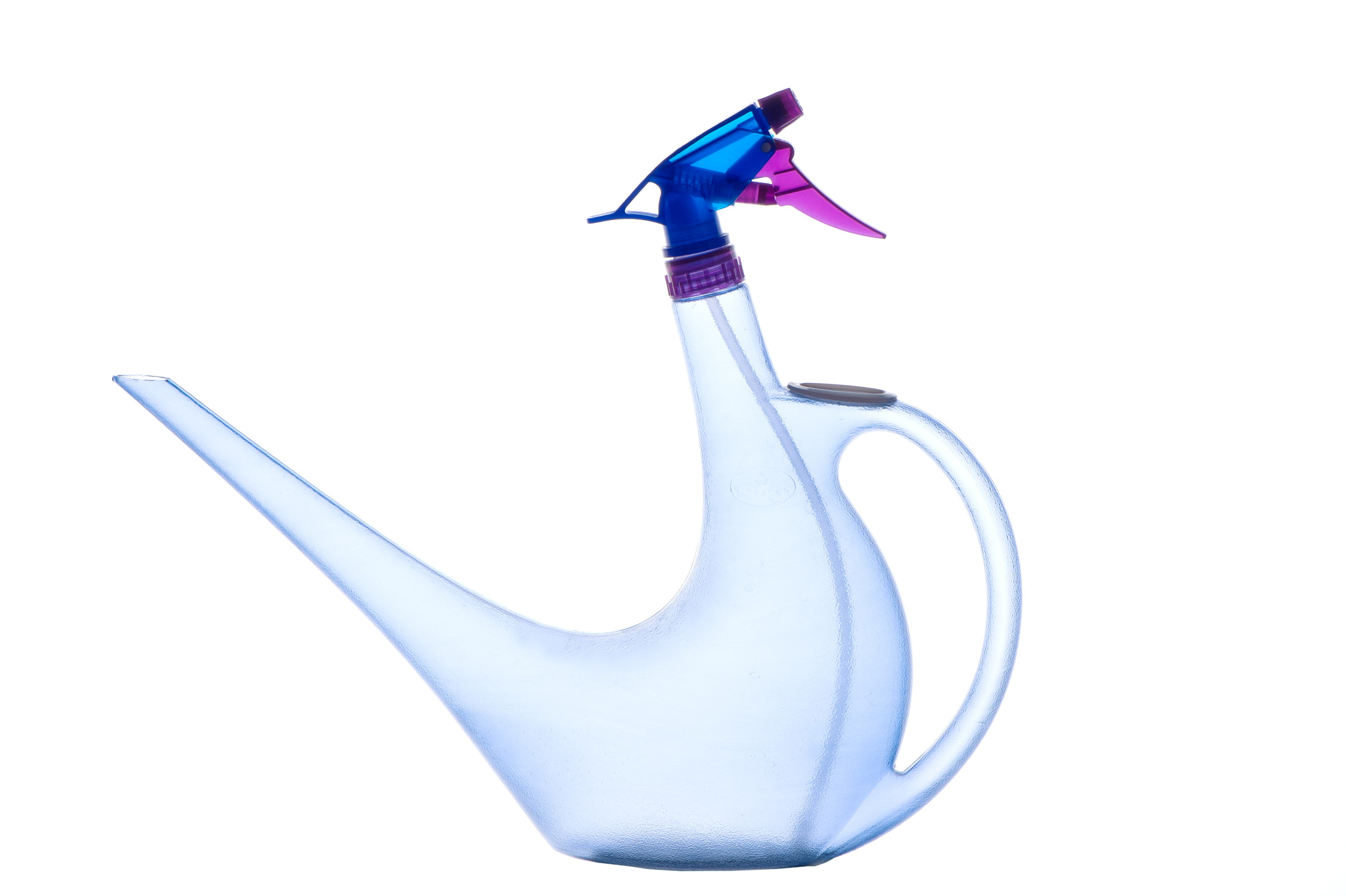 Nikon Df sample photo. A duck photography