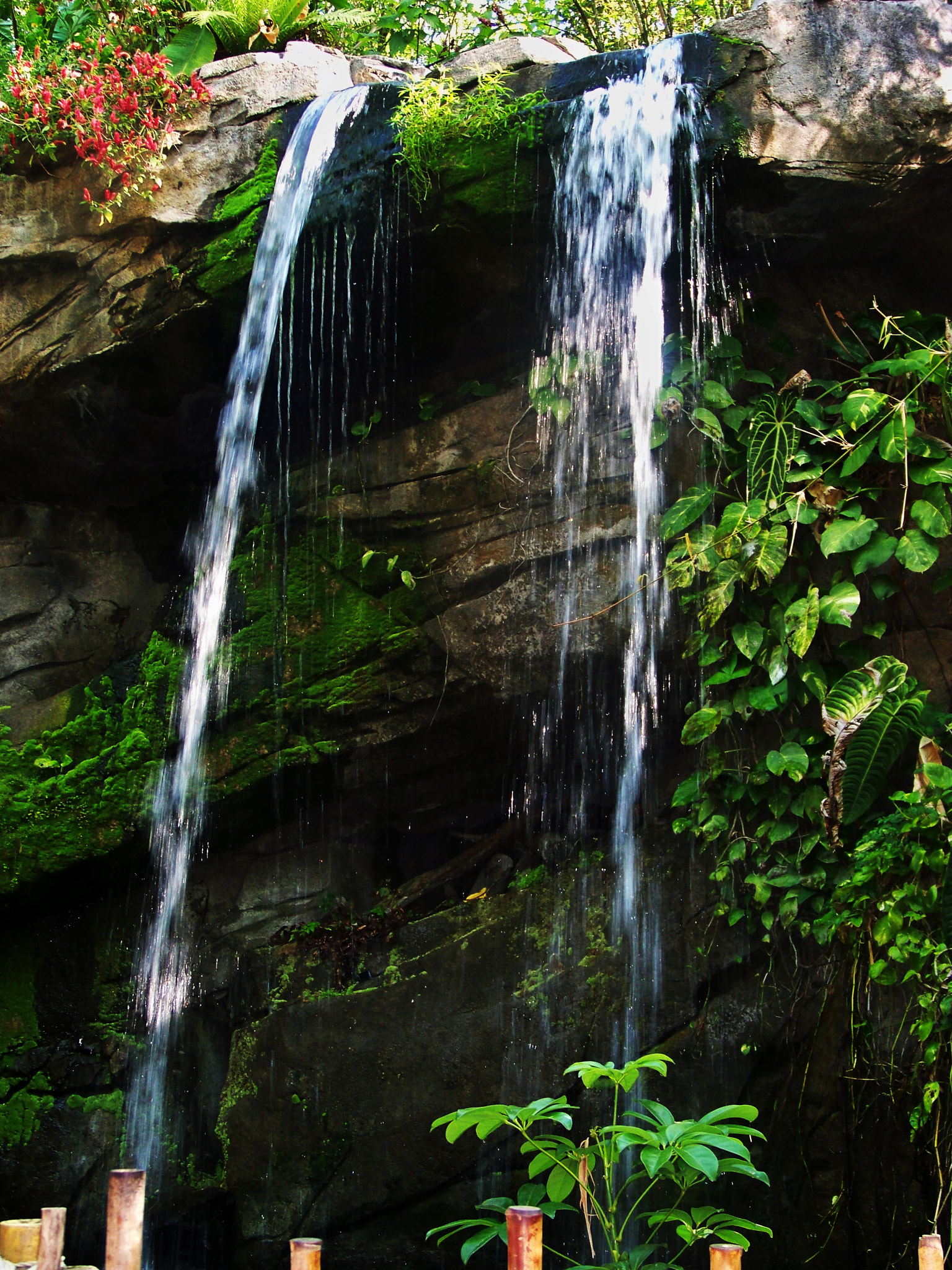 Kodak EASYSHARE Z1012 IS DIGITAL CAMERA sample photo. Water photography