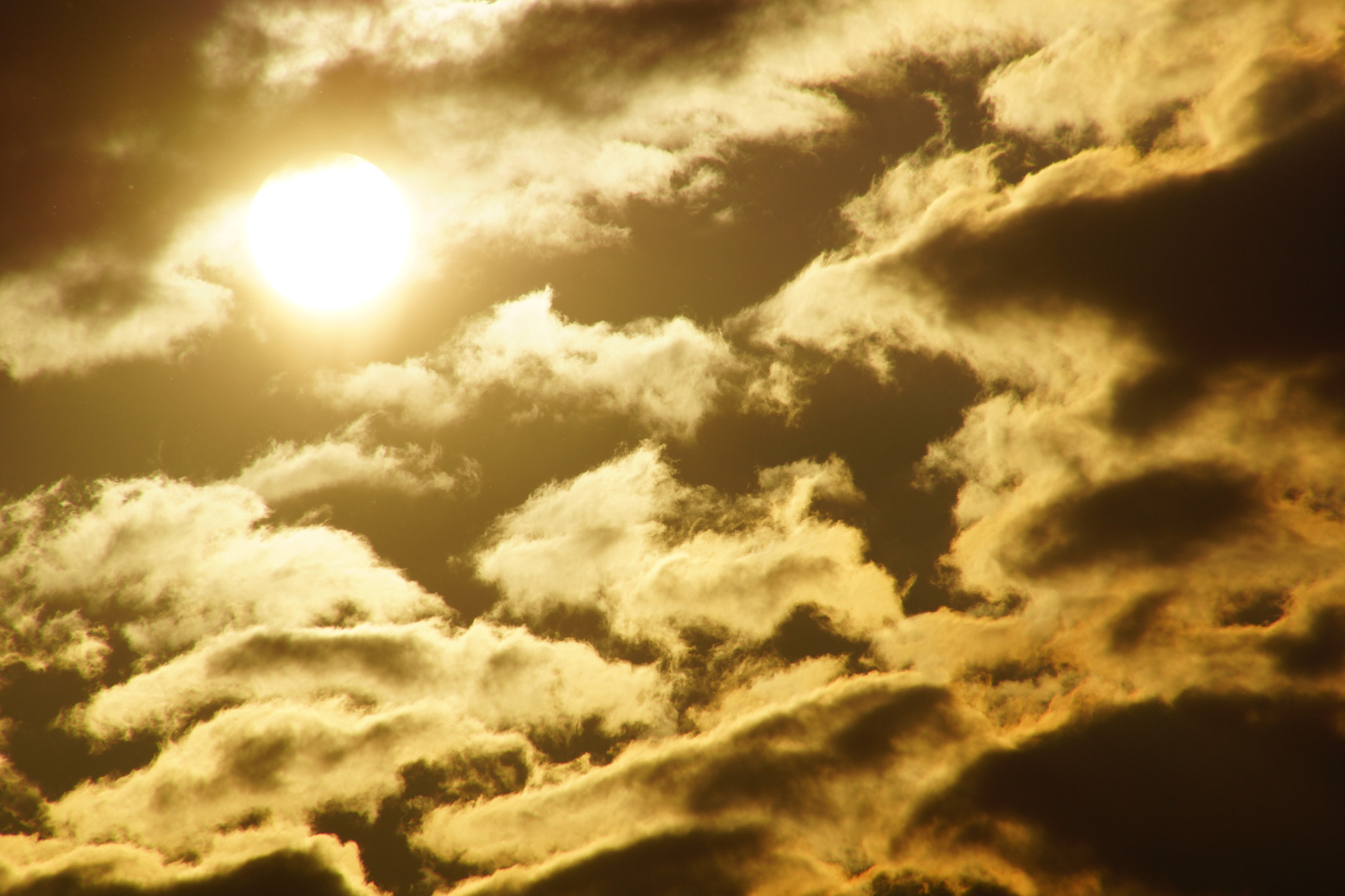 Tamron 16-300mm F3.5-6.3 Di II VC PZD Macro sample photo. Shades of light... photography