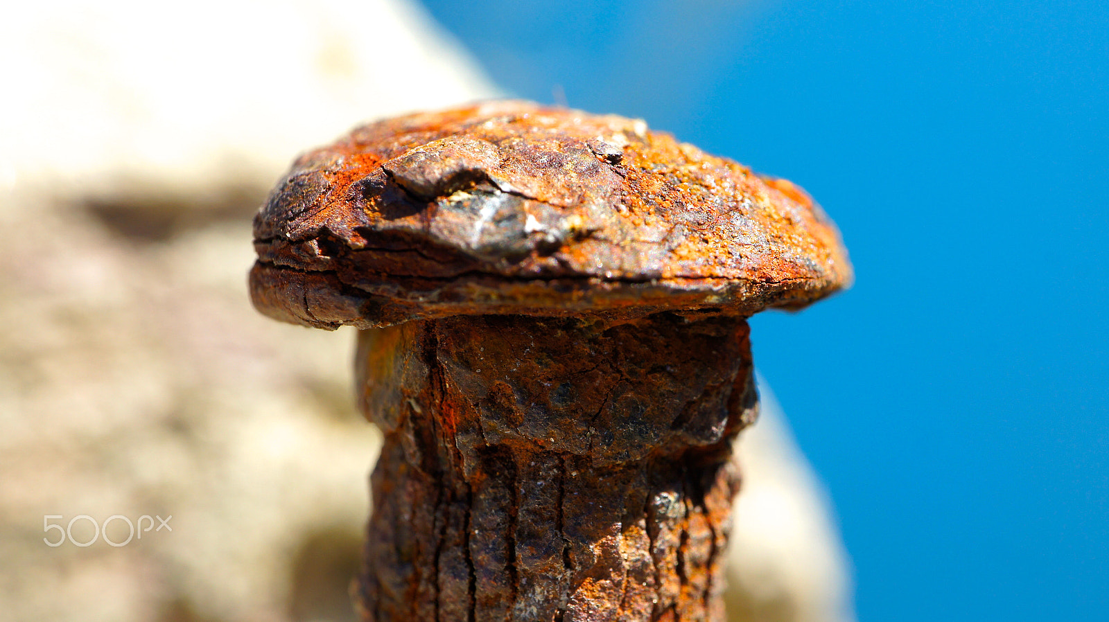 Sony Alpha NEX-5 sample photo. Rusty nail... photography