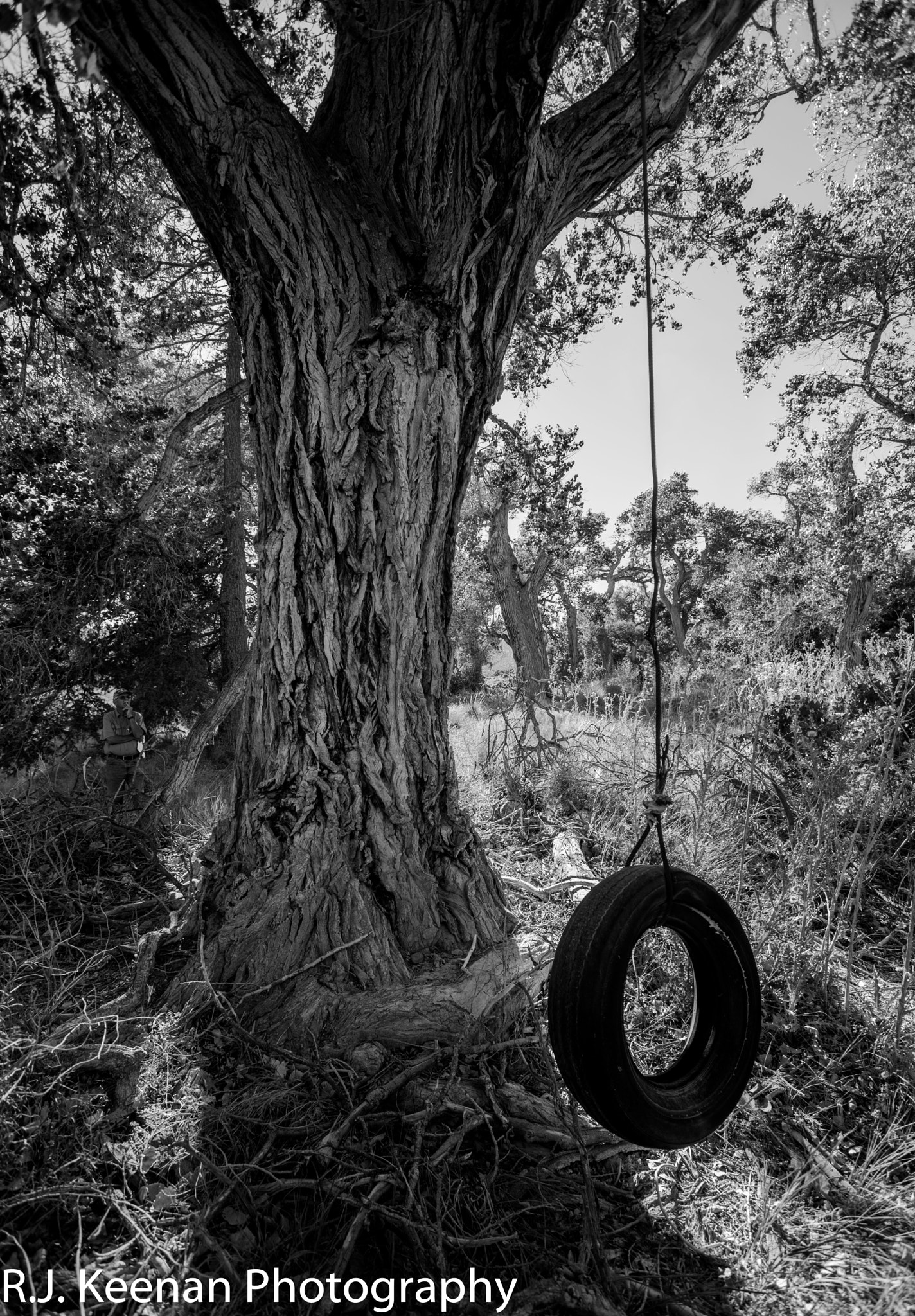 Nikon AF-S Nikkor 17-35mm F2.8D ED-IF sample photo. Last tire swing photography