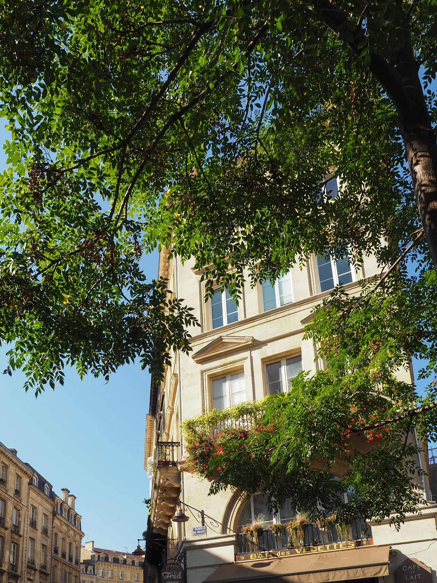 Olympus PEN-F + OLYMPUS M.12mm F2.0 sample photo. Cafe and tree near porte cailhau (palace gate) in bordeaux photography
