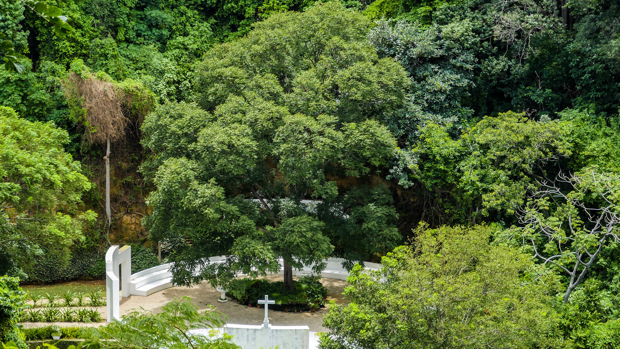 Panasonic Lumix DMC-GH4 sample photo. El bajo photography
