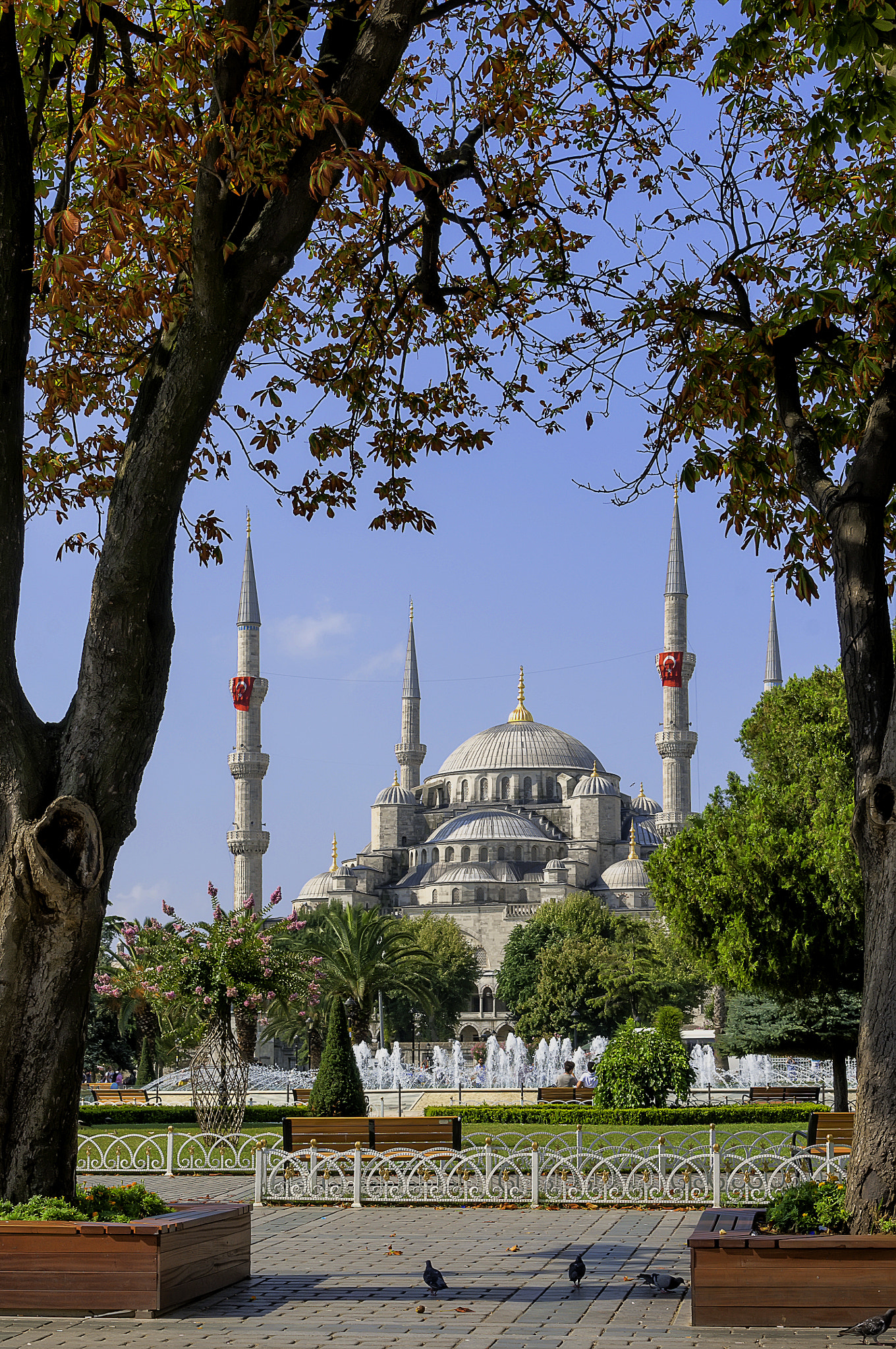 Nikon D300S sample photo. Blue mosque istanbul turkey photography