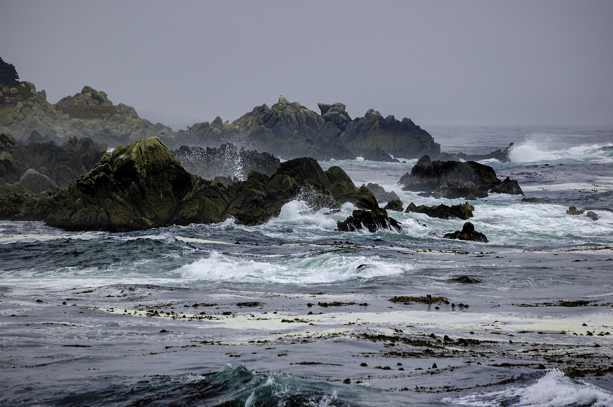 Nikon D70s sample photo. Carmel california coast photography