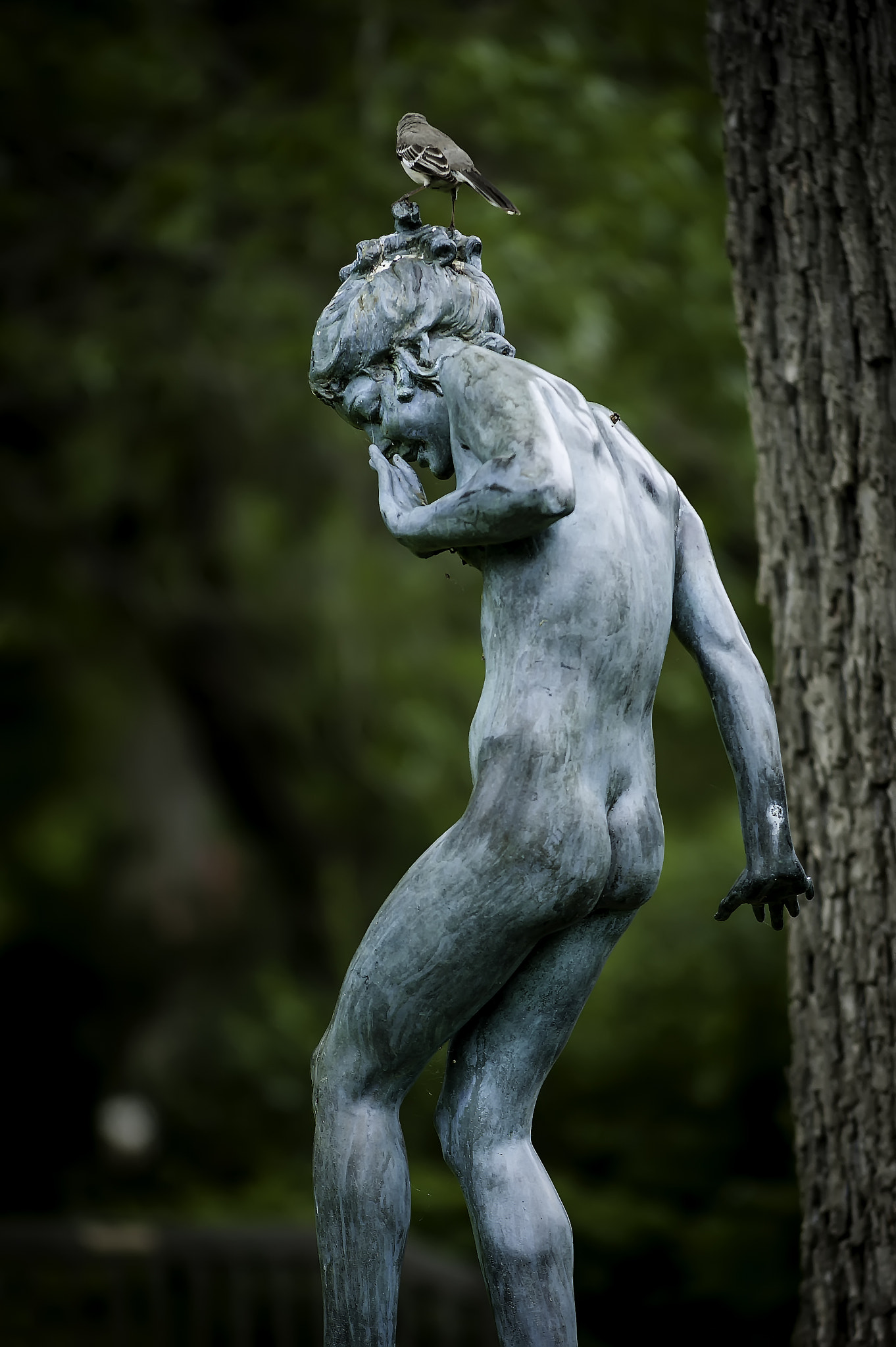 Nikon D70s sample photo. Get off me photography