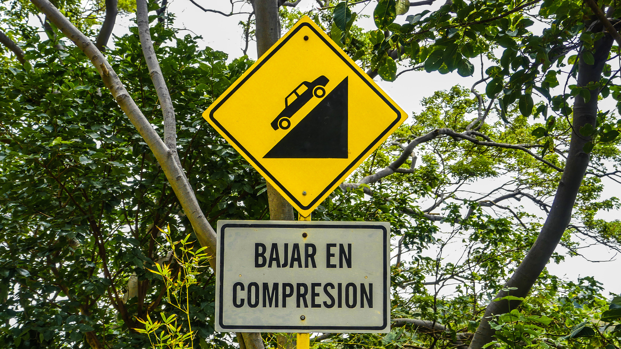 Panasonic Lumix DMC-GH4 sample photo. Bajar en compresion. photography