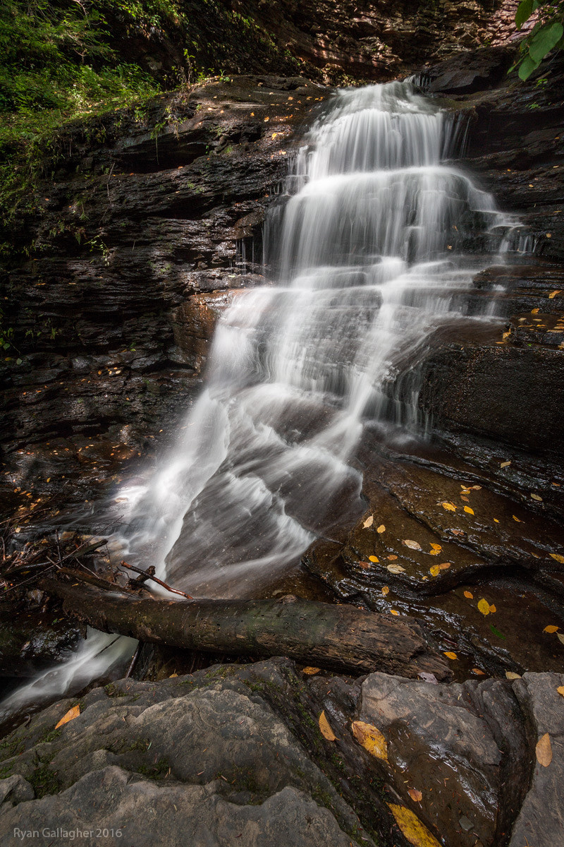 Canon EOS 500D (EOS Rebel T1i / EOS Kiss X3) sample photo. Ricketts glen 2 photography