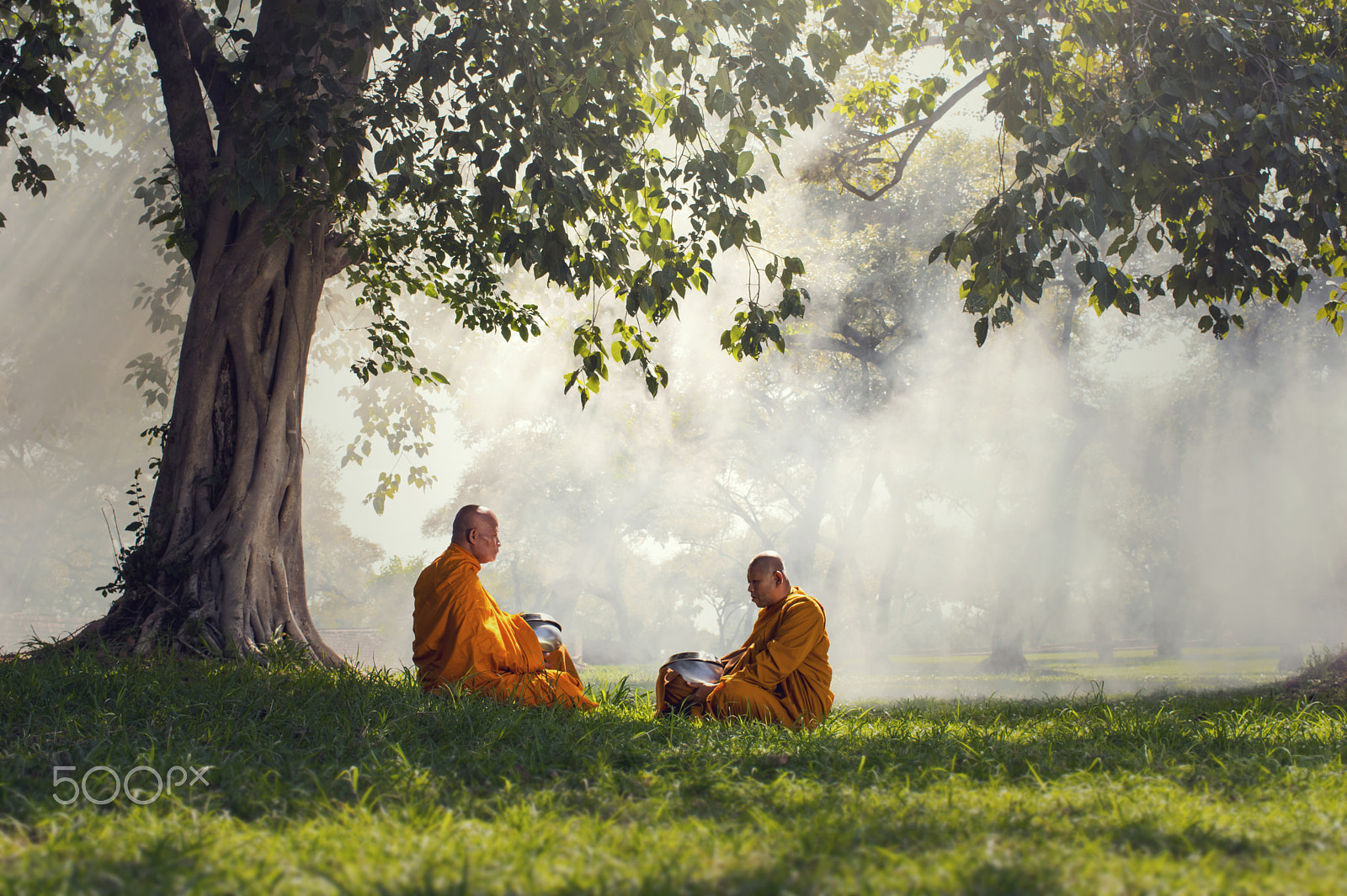 Pentax smc DA 35mm F2.8 Macro Limited sample photo. Two monks meditation under the trees with sun ray, buddha religi photography