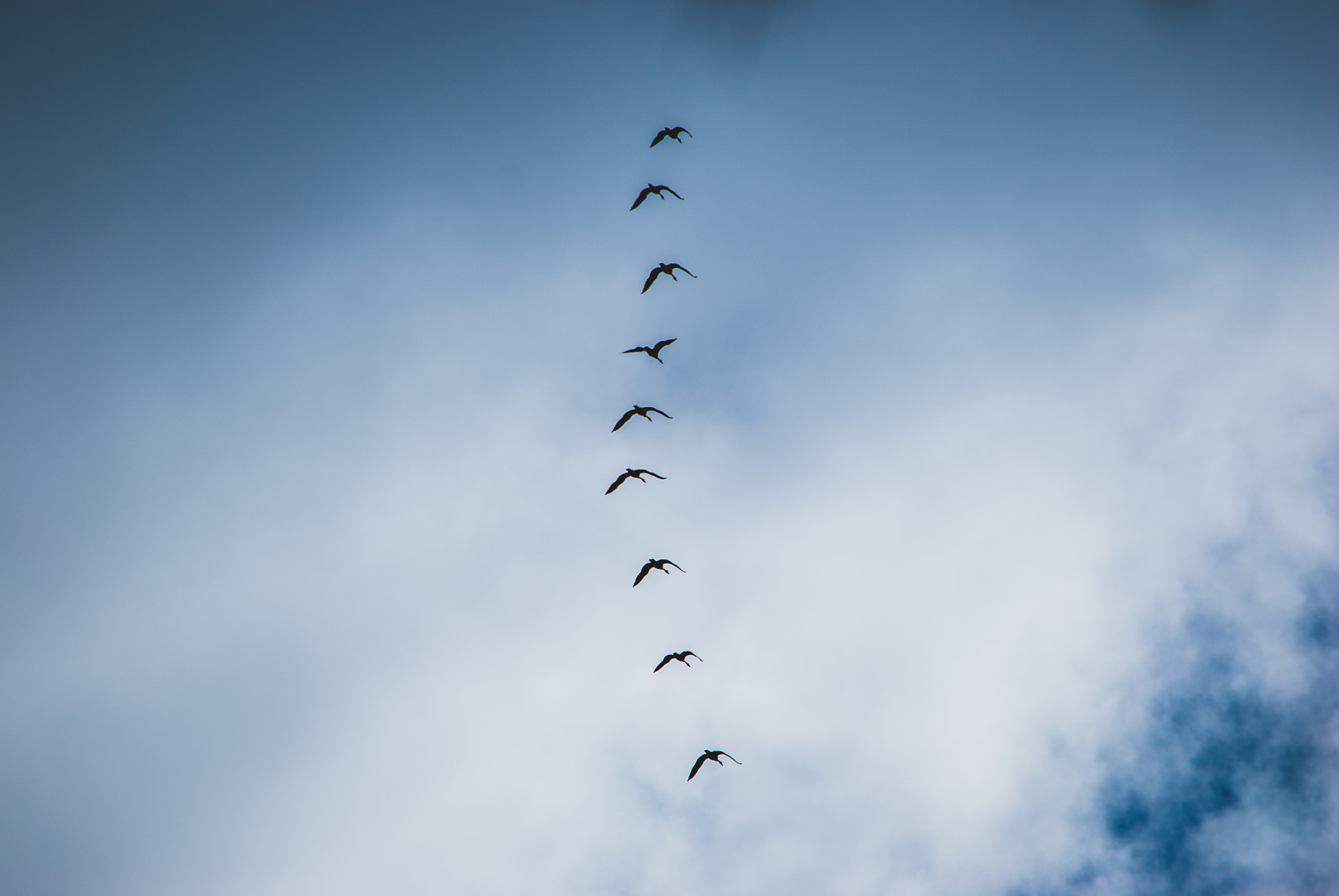 Nikon D60 sample photo. Flight photography