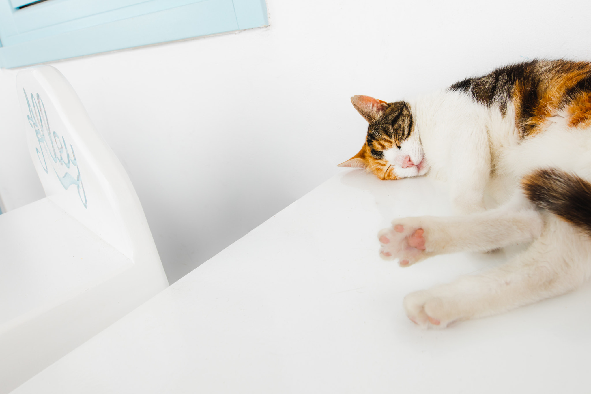 Canon EOS 5DS R + Sigma 20mm F1.4 DG HSM Art sample photo. Mykonos cat photography