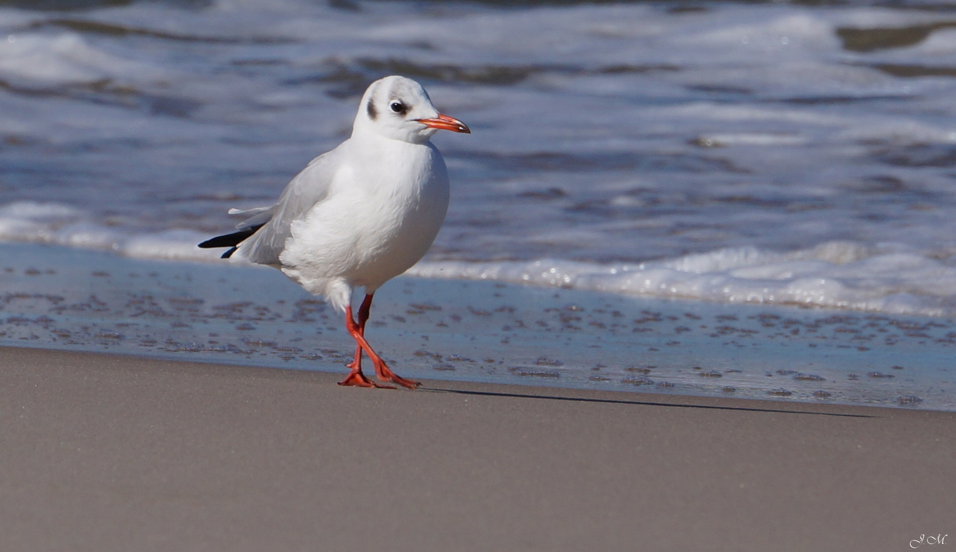 Sony E 55-210mm F4.5-6.3 OSS sample photo. Spacerek .... photography