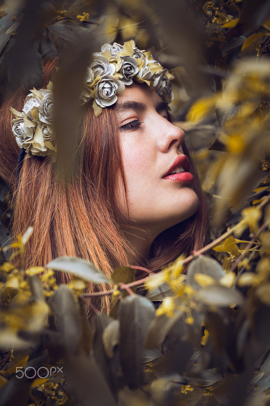 Canon EOS 650D (EOS Rebel T4i / EOS Kiss X6i) sample photo. Fantasy spring photography