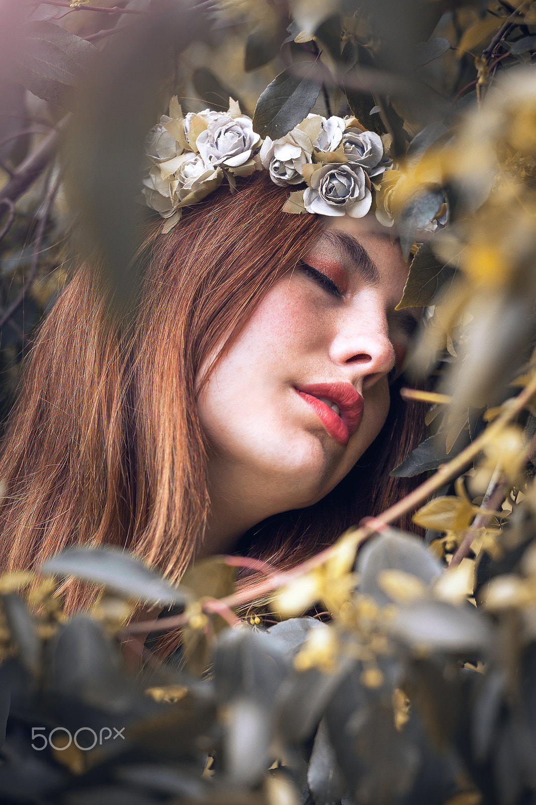 Canon EOS 650D (EOS Rebel T4i / EOS Kiss X6i) sample photo. Fantasy spring ii photography
