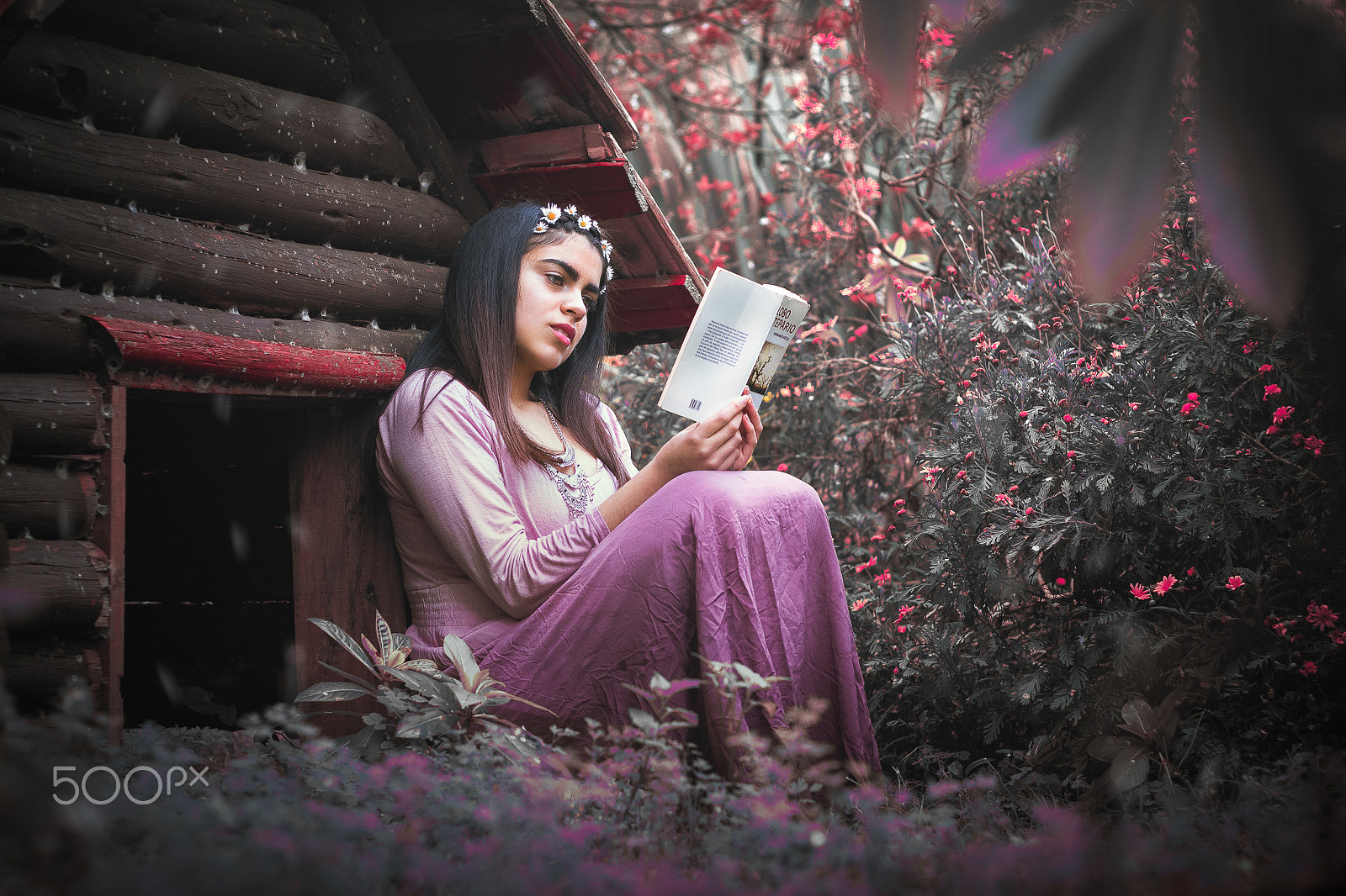 Canon EOS 650D (EOS Rebel T4i / EOS Kiss X6i) sample photo. Fantasy book photography