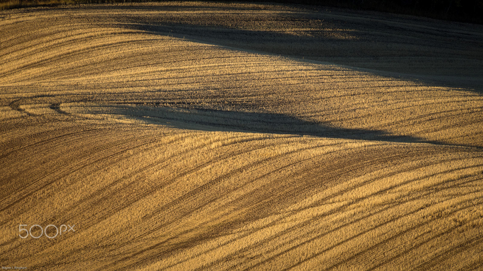 Olympus OM-D E-M1 sample photo. Shadows photography