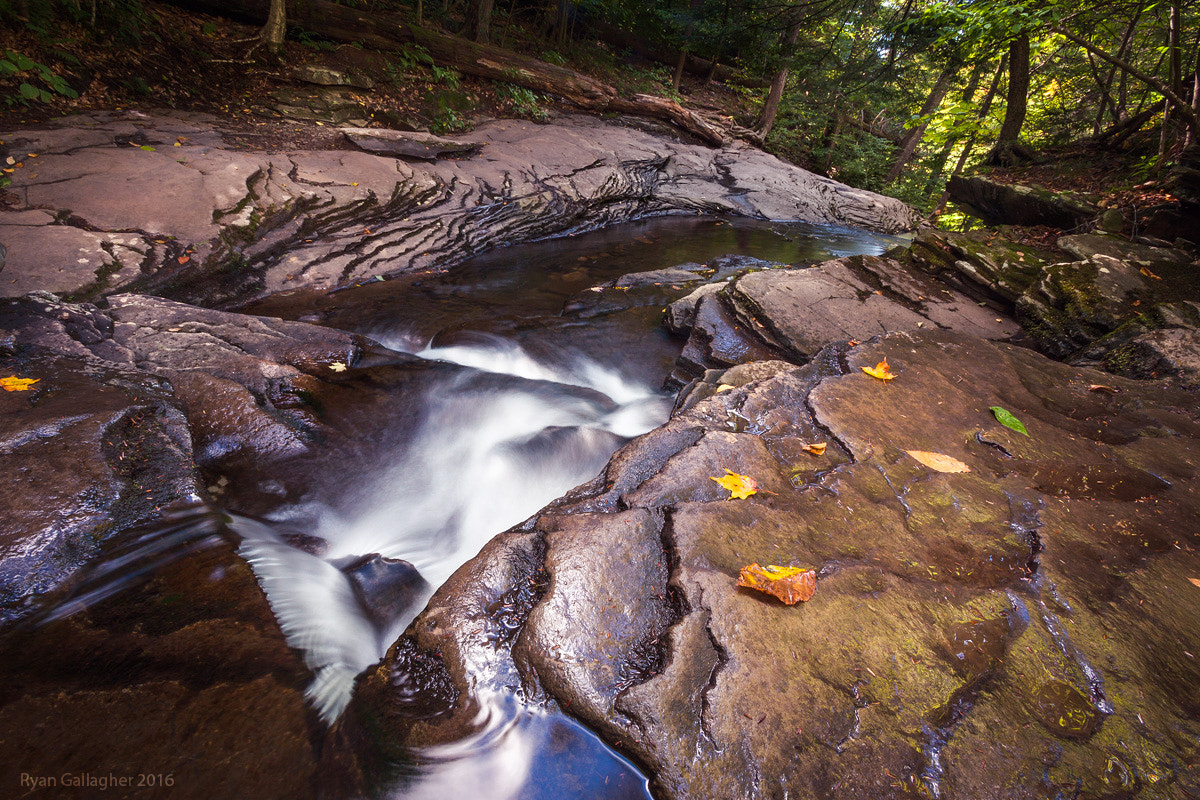 Canon EOS 500D (EOS Rebel T1i / EOS Kiss X3) sample photo. Ricketts glen 3 photography