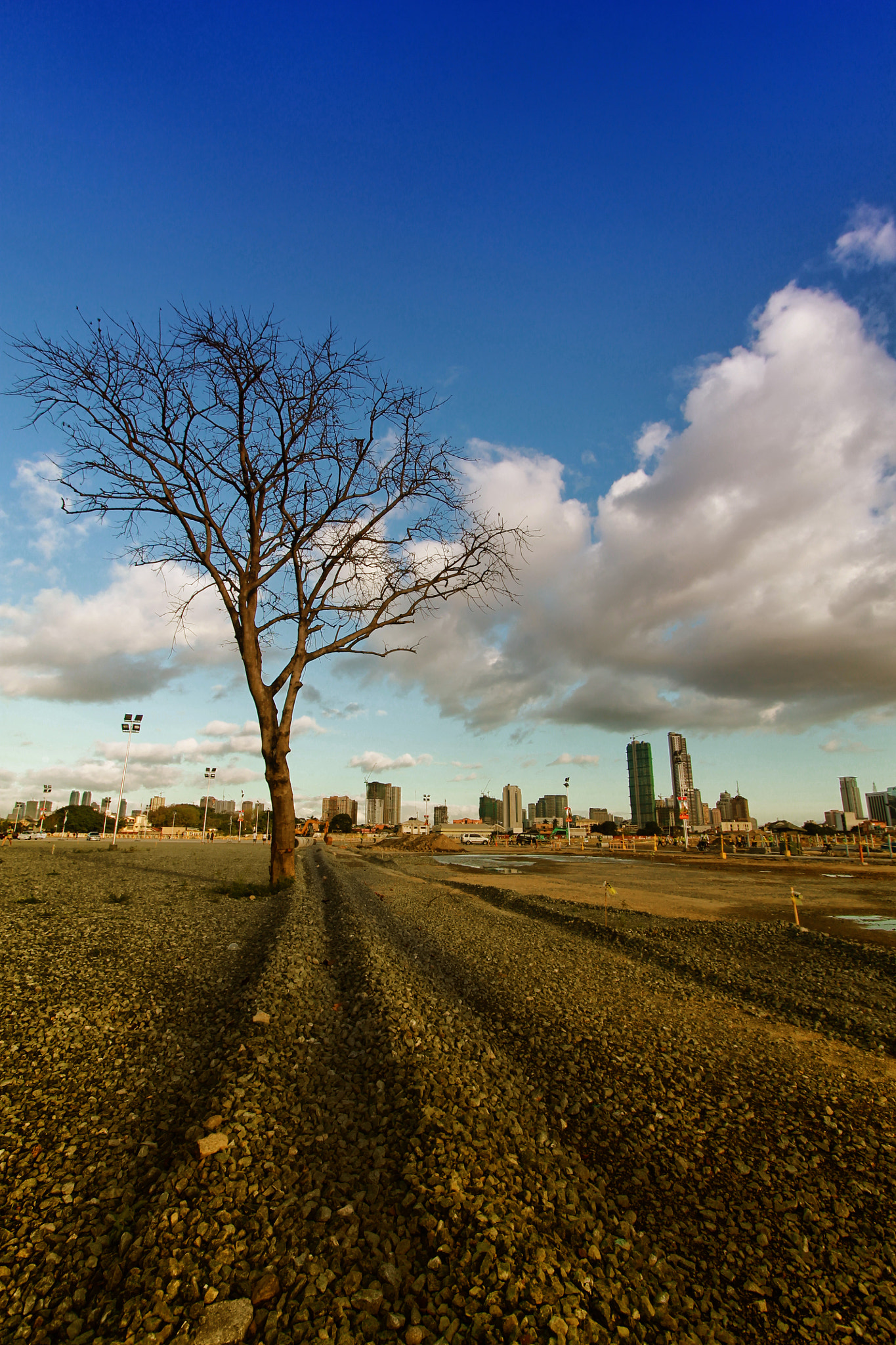 Canon EF-S 10-22mm F3.5-4.5 USM sample photo. Circuit makati photography