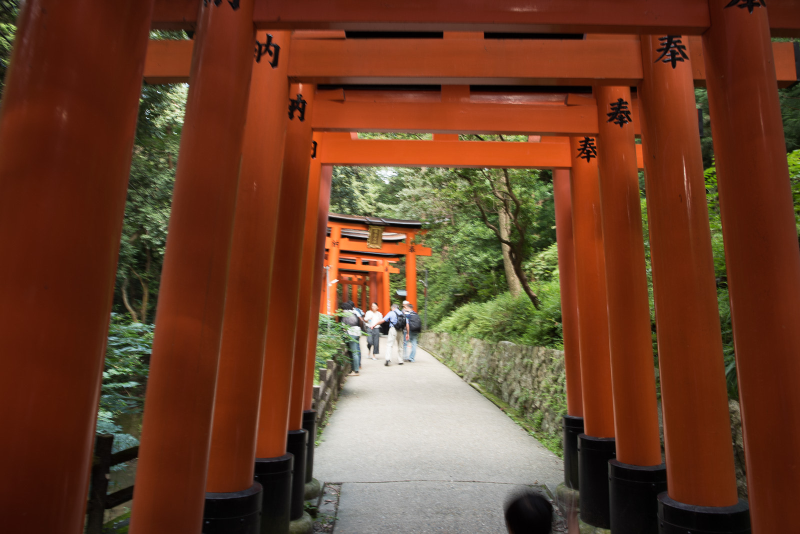 Nikon D810 + Nikon AF-S Nikkor 24mm F1.4G ED sample photo. Dsc photography