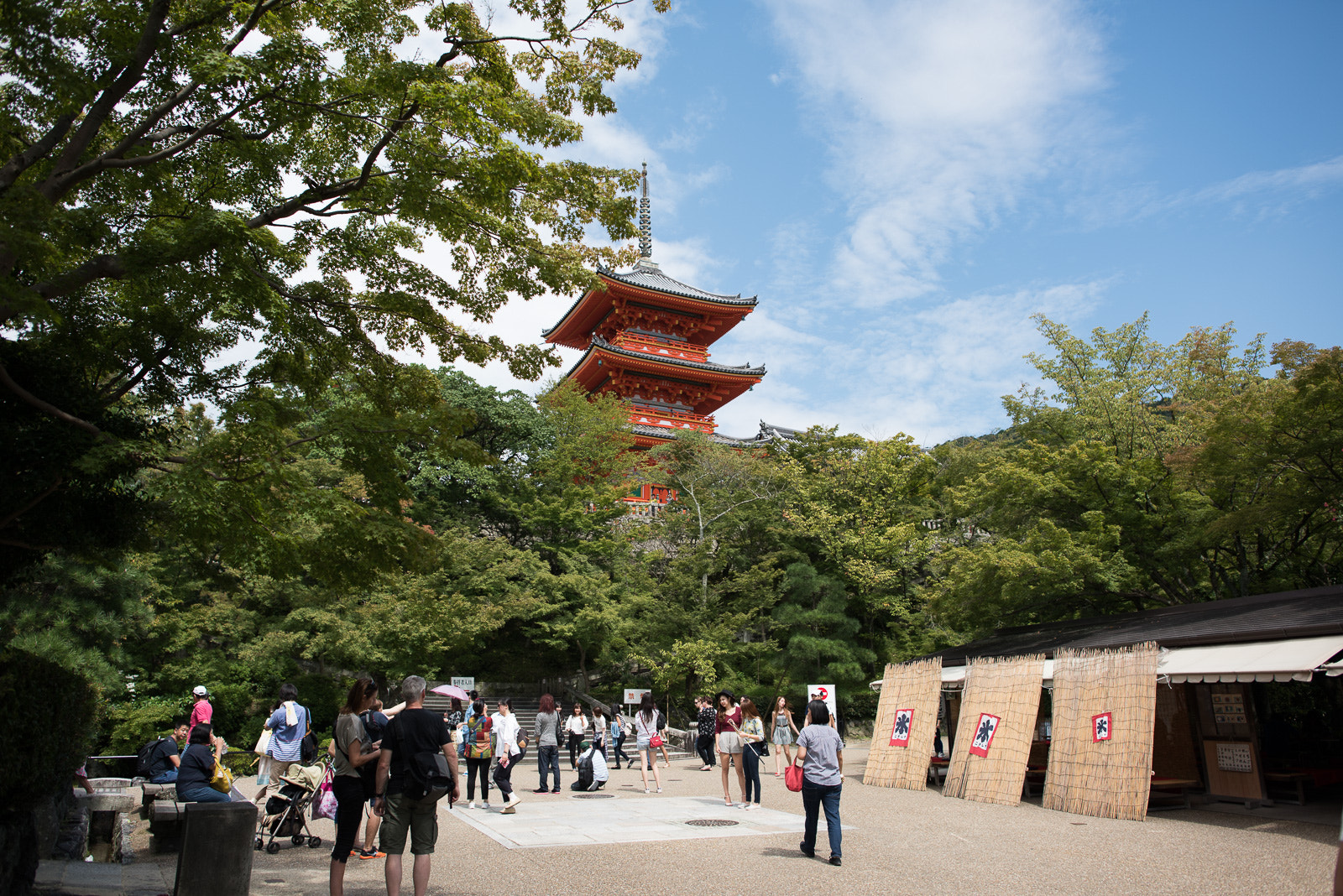 Nikon D810 + Nikon AF-S Nikkor 24mm F1.4G ED sample photo. Dsc photography